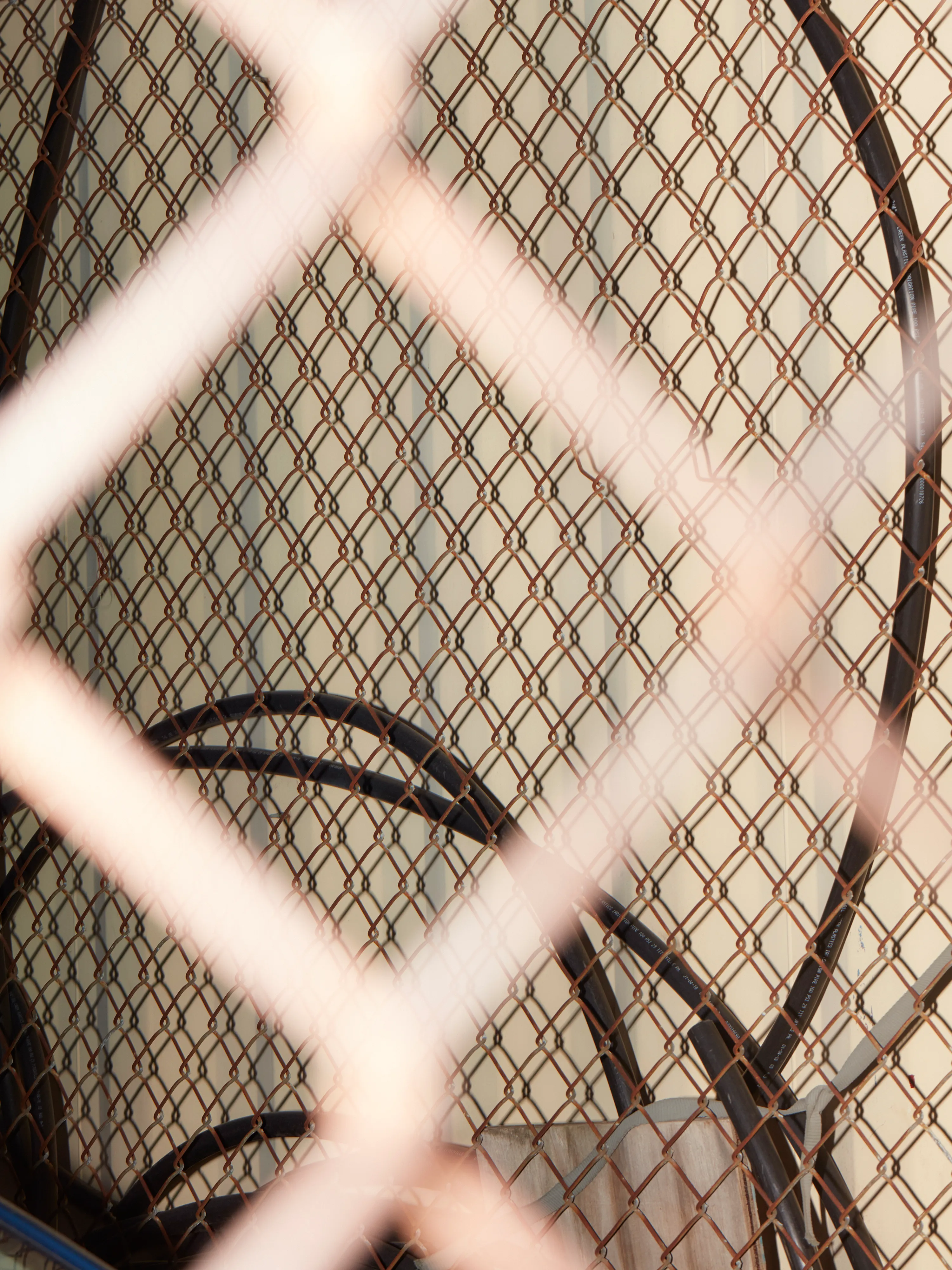 CHAINLINK № 19

Digital Photograph
Brooklyn, NY
2021

3000 x 4000 pixels