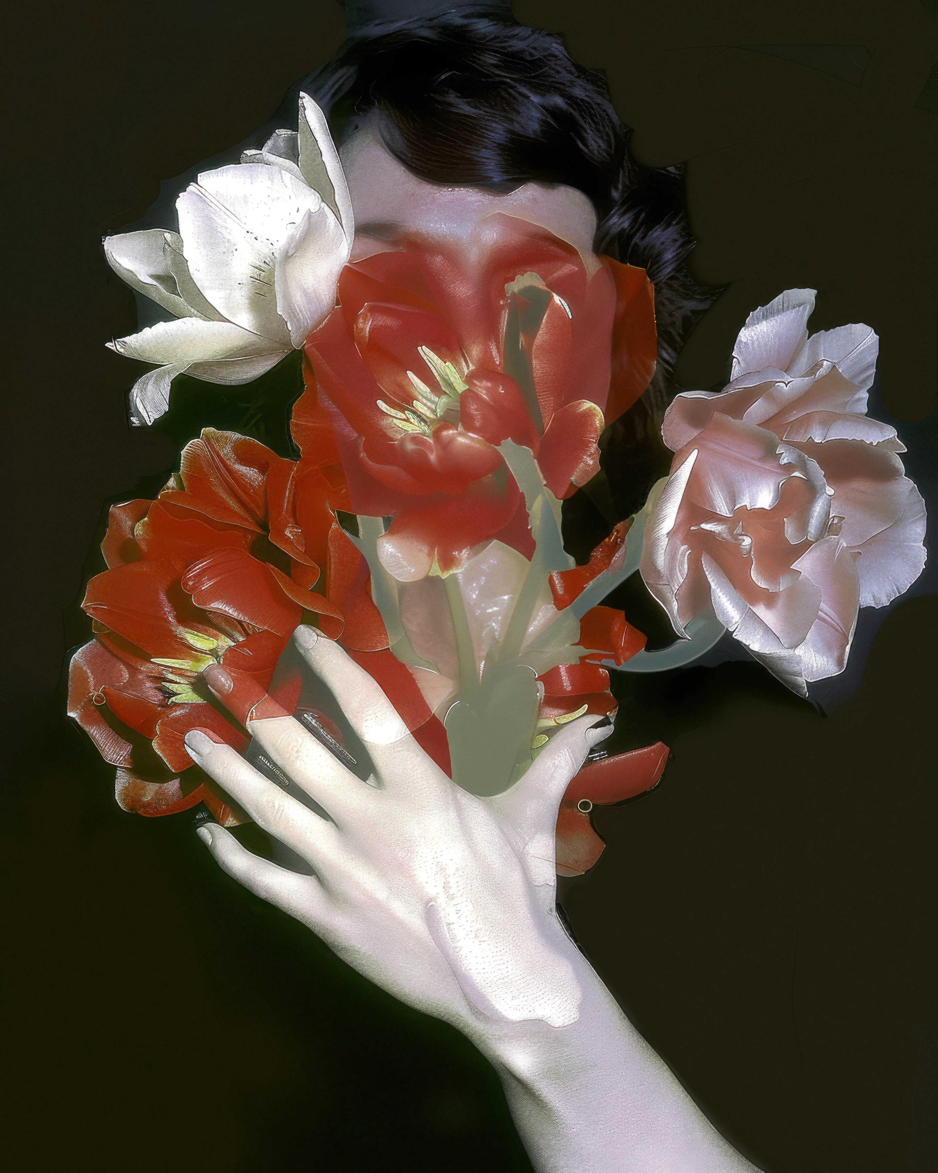 Color Code #52