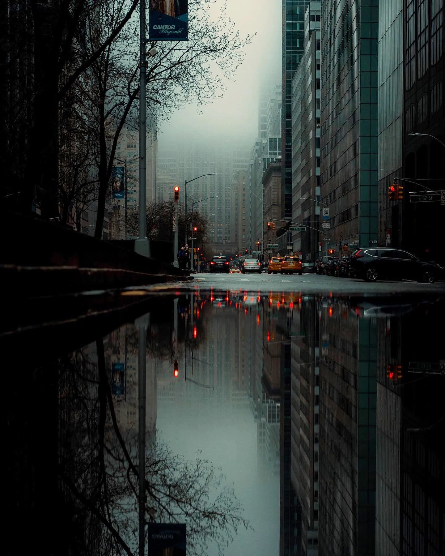 NYC Park avenue
August 3, 2019