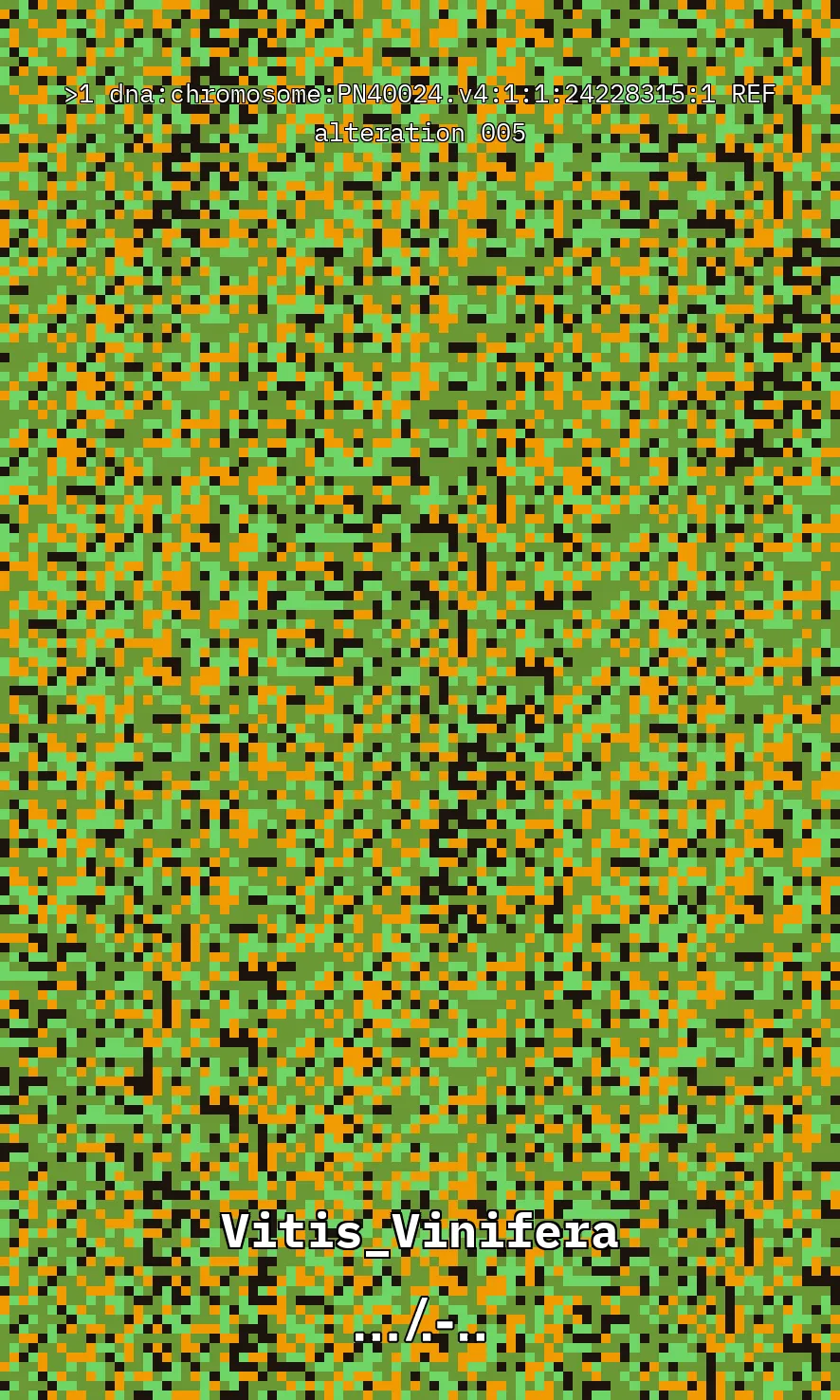 Vitis Vinifera is the scientific name given to what is commonly known as the vine, the most common and widely cultivated climbing plant in the world used to create wine. The artwork uses parts of the genetic sequence of this plant to generate a pixel pattern corresponding to the selected DNA sequence, in this case, from chromosome number 1 of the mentioned plant, through a Python code. The result is an abstract image that aims to simulate a pattern resembling a wine texture or what could be referred to as a digitized wine. The image has been created using 7,789 characters from the sequence (ACTG). The artwork, self-generated by a computer, offers nearly infinite possibilities by selecting different sections of the genetic code of Vitis Vinifera.
