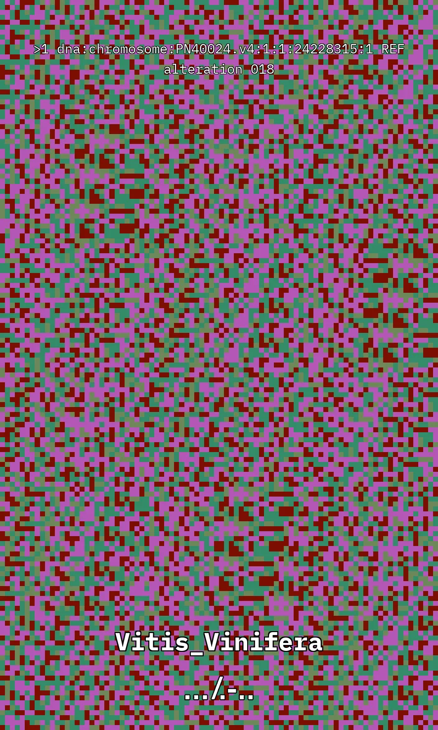 Vitis Vinifera is the scientific name given to what is commonly known as the vine, the most common and widely cultivated climbing plant in the world used to create wine. The artwork uses parts of the genetic sequence of this plant to generate a pixel pattern corresponding to the selected DNA sequence, in this case, from chromosome number 1 of the mentioned plant, through a Python code. The result is an abstract image that aims to simulate a pattern resembling a wine texture or what could be referred to as a digitized wine. The image has been created using 7,789 characters from the sequence (ACTG). The artwork, self-generated by a computer, offers nearly infinite possibilities by selecting different sections of the genetic code of Vitis Vinifera.