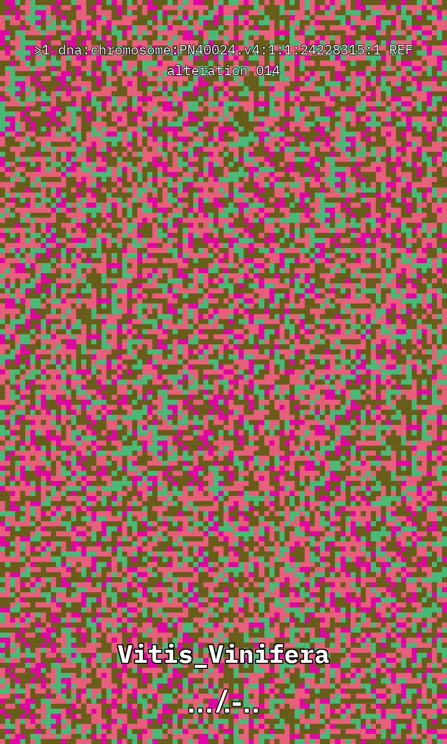 Vitis Vinifera is the scientific name given to what is commonly known as the vine, the most common and widely cultivated climbing plant in the world used to create wine. The artwork uses parts of the genetic sequence of this plant to generate a pixel pattern corresponding to the selected DNA sequence, in this case, from chromosome number 1 of the mentioned plant, through a Python code. The result is an abstract image that aims to simulate a pattern resembling a wine texture or what could be referred to as a digitized wine. The image has been created using 7,789 characters from the sequence (ACTG). The artwork, self-generated by a computer, offers nearly infinite possibilities by selecting different sections of the genetic code of Vitis Vinifera.