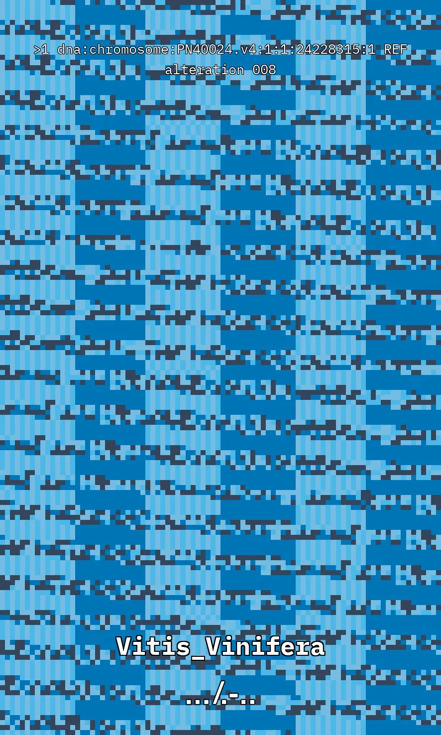 Vitis Vinifera is the scientific name given to what is commonly known as the vine, the most common and widely cultivated climbing plant in the world used to create wine. The artwork uses parts of the genetic sequence of this plant to generate a pixel pattern corresponding to the selected DNA sequence, in this case, from chromosome number 1 of the mentioned plant, through a Python code. The result is an abstract image that aims to simulate a pattern resembling a wine texture or what could be referred to as a digitized wine. The image has been created using 7,789 characters from the sequence (ACTG). The artwork, self-generated by a computer, offers nearly infinite possibilities by selecting different sections of the genetic code of Vitis Vinifera.