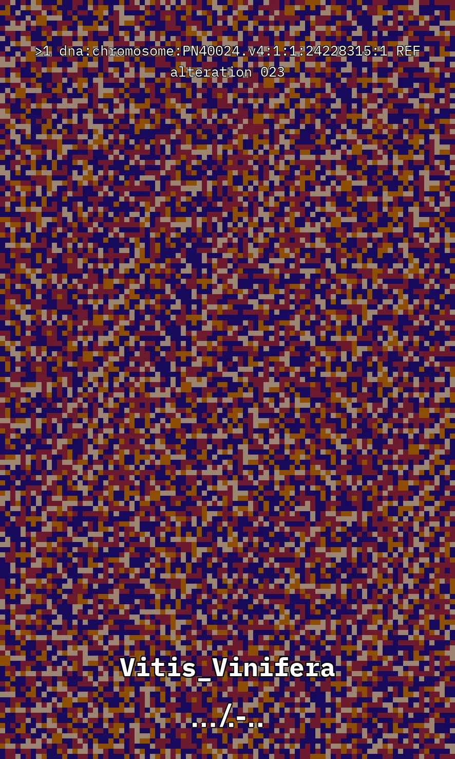 Vitis Vinifera is the scientific name given to what is commonly known as the vine, the most common and widely cultivated climbing plant in the world used to create wine. The artwork uses parts of the genetic sequence of this plant to generate a pixel pattern corresponding to the selected DNA sequence, in this case, from chromosome number 1 of the mentioned plant, through a Python code. The result is an abstract image that aims to simulate a pattern resembling a wine texture or what could be referred to as a digitized wine. The image has been created using 7,789 characters from the sequence (ACTG). The artwork, self-generated by a computer, offers nearly infinite possibilities by selecting different sections of the genetic code of Vitis Vinifera.