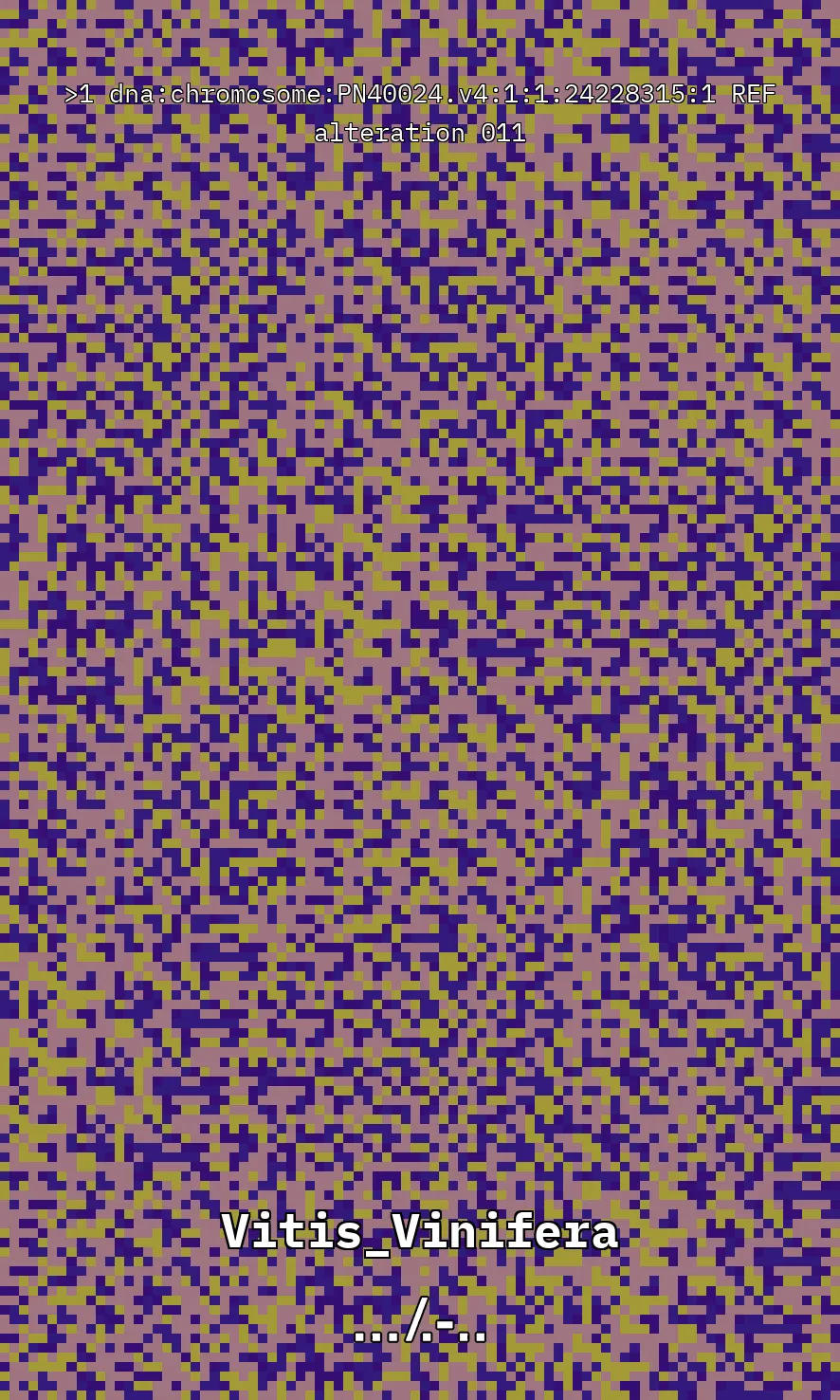 Vitis Vinifera is the scientific name given to what is commonly known as the vine, the most common and widely cultivated climbing plant in the world used to create wine. The artwork uses parts of the genetic sequence of this plant to generate a pixel pattern corresponding to the selected DNA sequence, in this case, from chromosome number 1 of the mentioned plant, through a Python code. The result is an abstract image that aims to simulate a pattern resembling a wine texture or what could be referred to as a digitized wine. The image has been created using 7,789 characters from the sequence (ACTG). The artwork, self-generated by a computer, offers nearly infinite possibilities by selecting different sections of the genetic code of Vitis Vinifera.