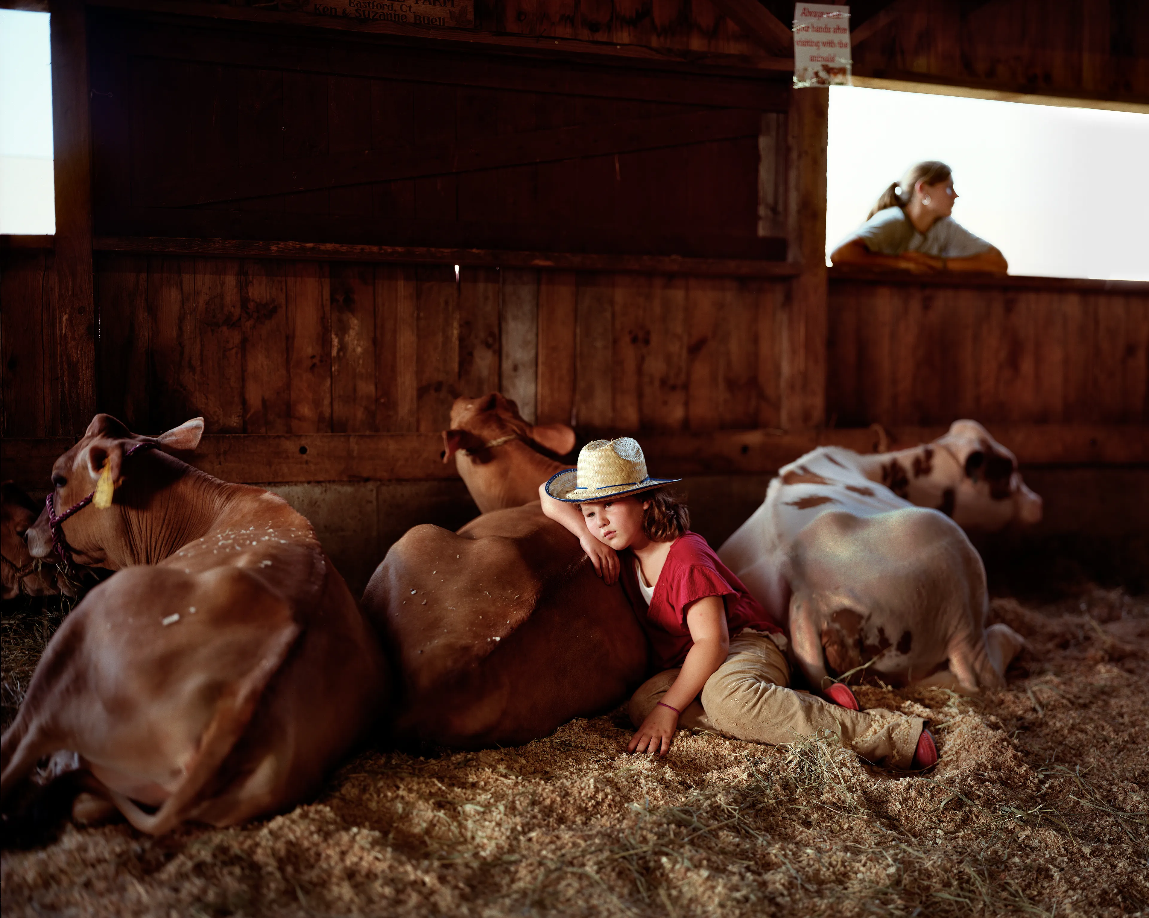 County fairs conjure ideas of tilt-a-whirls, stuffed animals, cotton candy, and blue ribbons. Rooted in local agricultural practices, fairs have been a ubiquitous part of American life for two centuries. In a reassuring way, they seem impervious to economic, technological, or fashion trends. For better or for worse, fairs look the same through the decades.

Though they are places to meet each other, there sure is a lot of loneliness at the fair. The series County Fair captures that duality: an adolescent boy looks up at the woman working the Hot Dog on a Stick stand as if she were a museum diorama; a little red haired girl haltingly befriends a robot; young couples, leaning and draped over each other, hide from the world in plain sight.


In my pictures, the dizzying atmosphere, colorfully decorated to provide amusement and distraction, is imbued with sadness and longing. These feelings, which permeate society, are laid bare at the fair. Sadness and longing circulate, intersect and incubate in the confined space between the ticket booths and the craft barns. People come out to participate and show, to see and be seen. Ultimately, connection remains elusive. 

