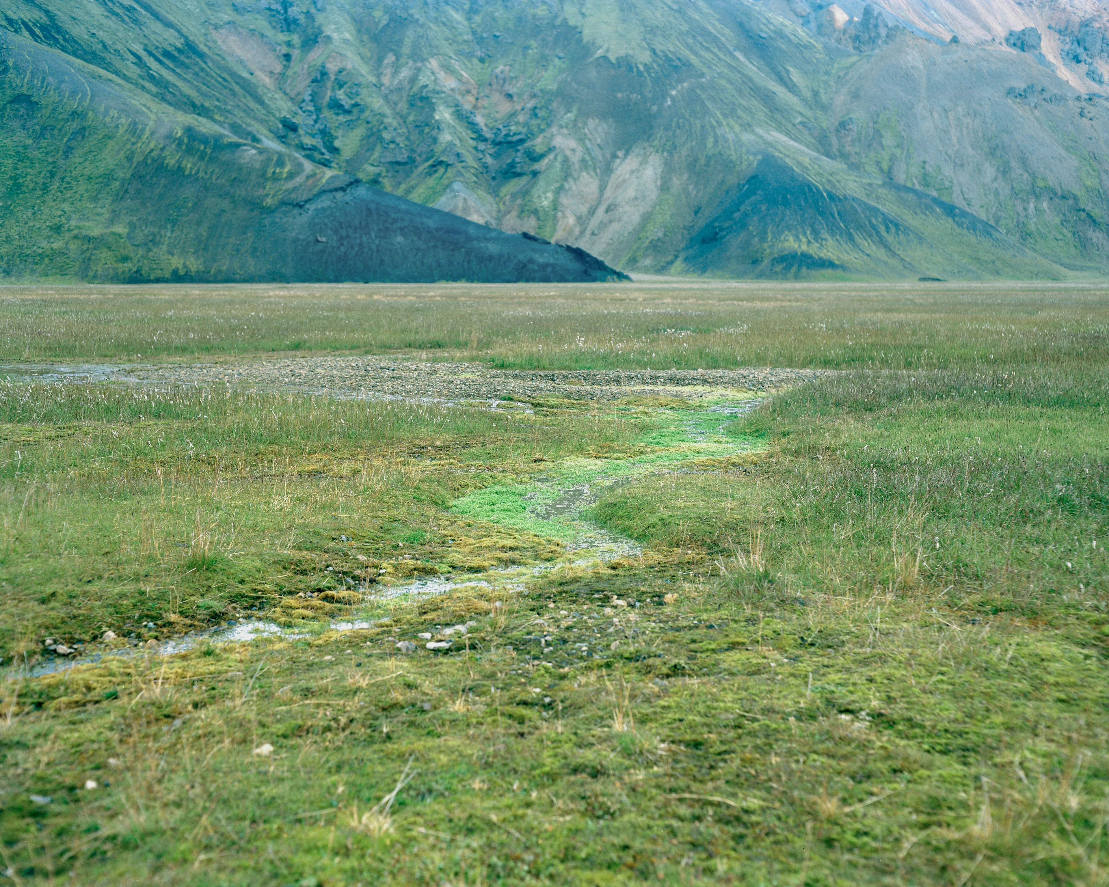 Polaris is a meditation on otherworldly encounters in the Circumpolar Northern landscape. At once an inward and outward exploration, the images reflect my childhood perception of the natural world: a realm of wonder, mystery, and sometimes magic.

To me, nature is the source of spiritual well-being, and making
photographs is a way to connect with that source. These images reconstruct a childhood mythology in the boreal Alaskan landscape, where I was raised. The series explores the affinities
between Iceland and the Alaskan Arctic; distant regions connected by climate, remoteness, and
seismic activity. By traversing the landscape on foot in a receptive state of mind, numinous experiences reveal themselves. Ice, weather, animals, and celestial phenomena take on significance, and our human scale in geologic time becomes clearer.

These images convey transcendent encounters, each imparting a sense of wonder in the presence of the unknown. Polaris, the North Star, functions as a metaphor for the presence I feel emanating from these places, the only constant in environments that are otherwise in constant flux.