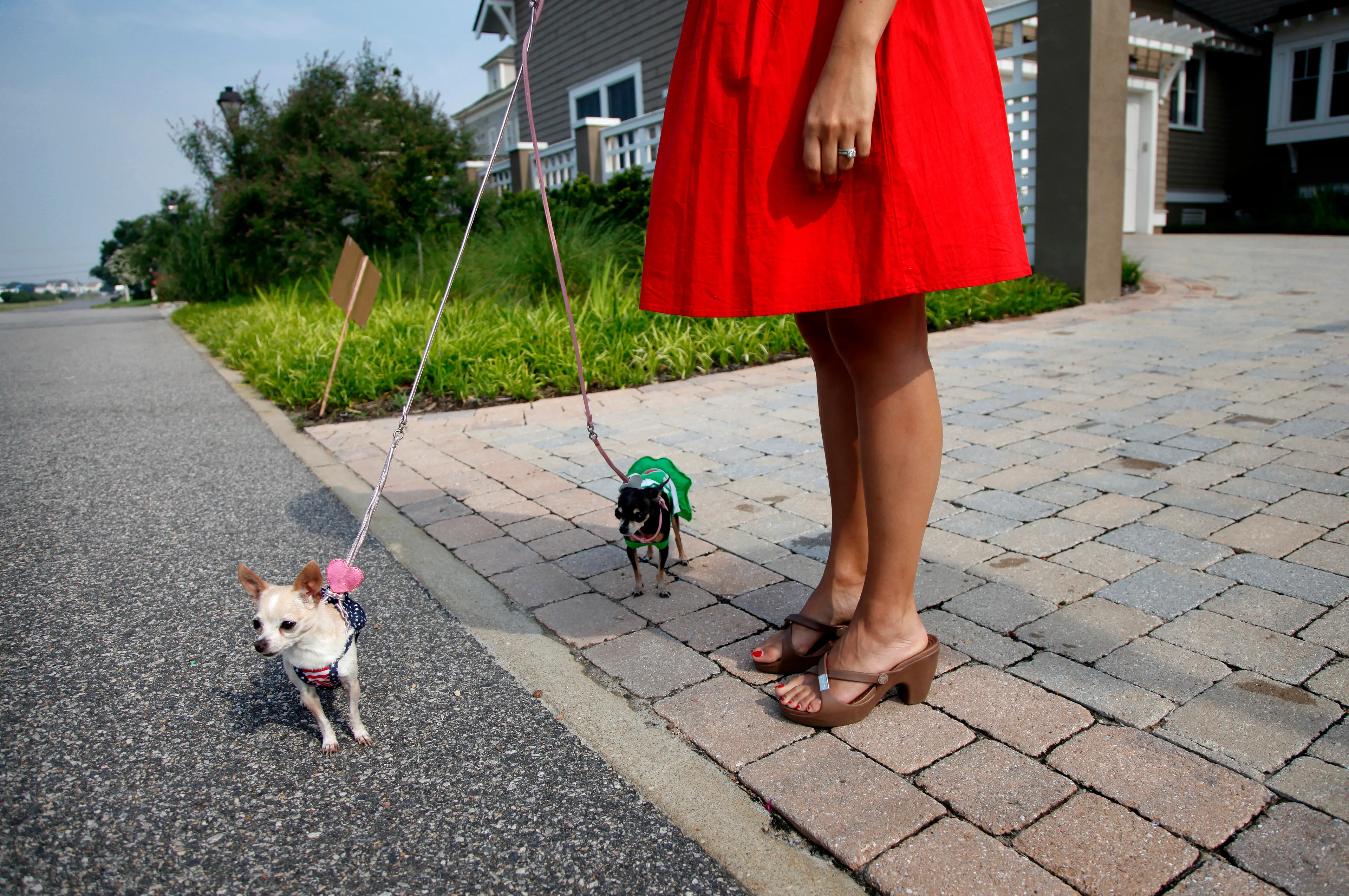 Between the Devil and the Deep Blue Sea is a visual essay about the changing character of a working-class seaside community located along the Chesapeake Bay in Virginia. The work explores residents' relationship to the natural environment and an American neighborhood that has become an intersection of class.