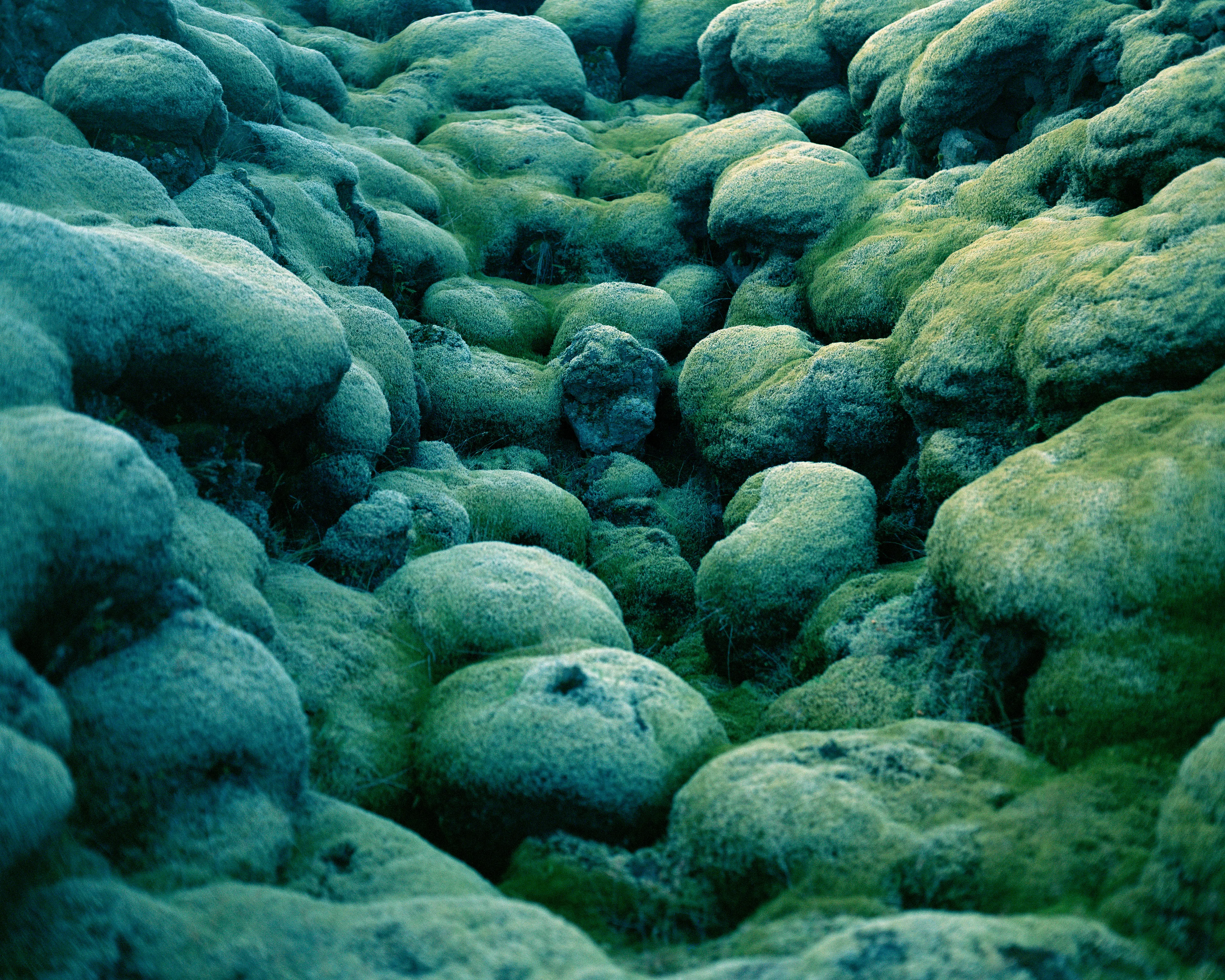 Polaris is a meditation on otherworldly encounters in the Circumpolar Northern landscape. At once an inward and outward exploration, the images reflect my childhood perception of the natural world: a realm of wonder, mystery, and sometimes magic.

To me, nature is the source of spiritual well-being, and making
photographs is a way to connect with that source. These images reconstruct a childhood mythology in the boreal Alaskan landscape, where I was raised. The series explores the affinities
between Iceland and the Alaskan Arctic; distant regions connected by climate, remoteness, and
seismic activity. By traversing the landscape on foot in a receptive state of mind, numinous experiences reveal themselves. Ice, weather, animals, and celestial phenomena take on significance, and our human scale in geologic time becomes clearer.

These images convey transcendent encounters, each imparting a sense of wonder in the presence of the unknown. Polaris, the North Star, functions as a metaphor for the presence I feel emanating from these places, the only constant in environments that are otherwise in constant flux.