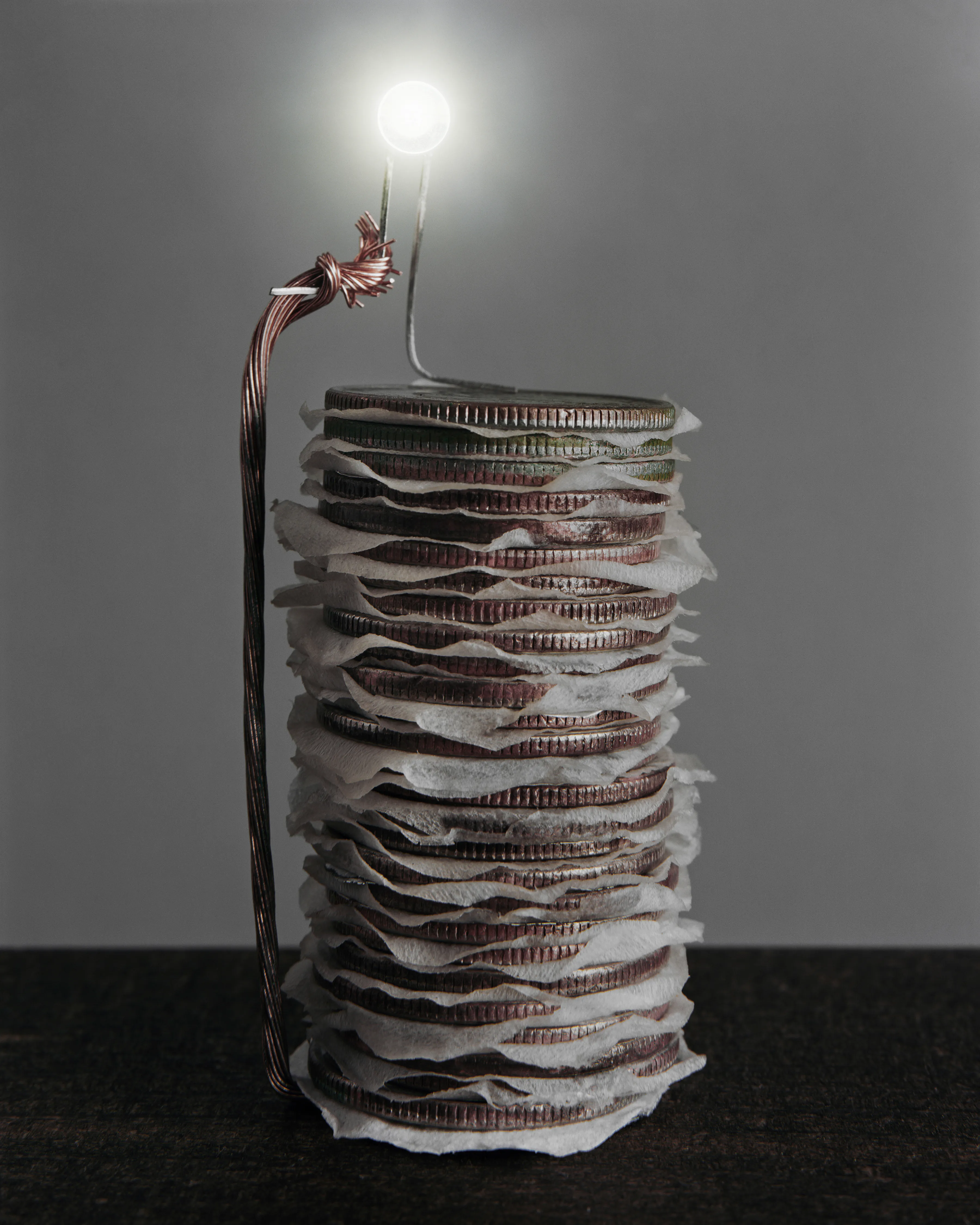Back to Light expands upon the potato battery, a classic grade school science project. By inserting a galvanized nail into one side of a potato and a copper wire in the other side, a small electrical current is generated. 

Many people fondly remember drawing power from potatoes or fruit in the classroom. This work speaks to the gift of human curiosity, and a concern for the future of earth’s energy sources. The cycle that begins with light from our nearest star that is  photosynthesized by organic materials to produce energy is re-routed in these images, Back to Light, illuminating earth once again.
