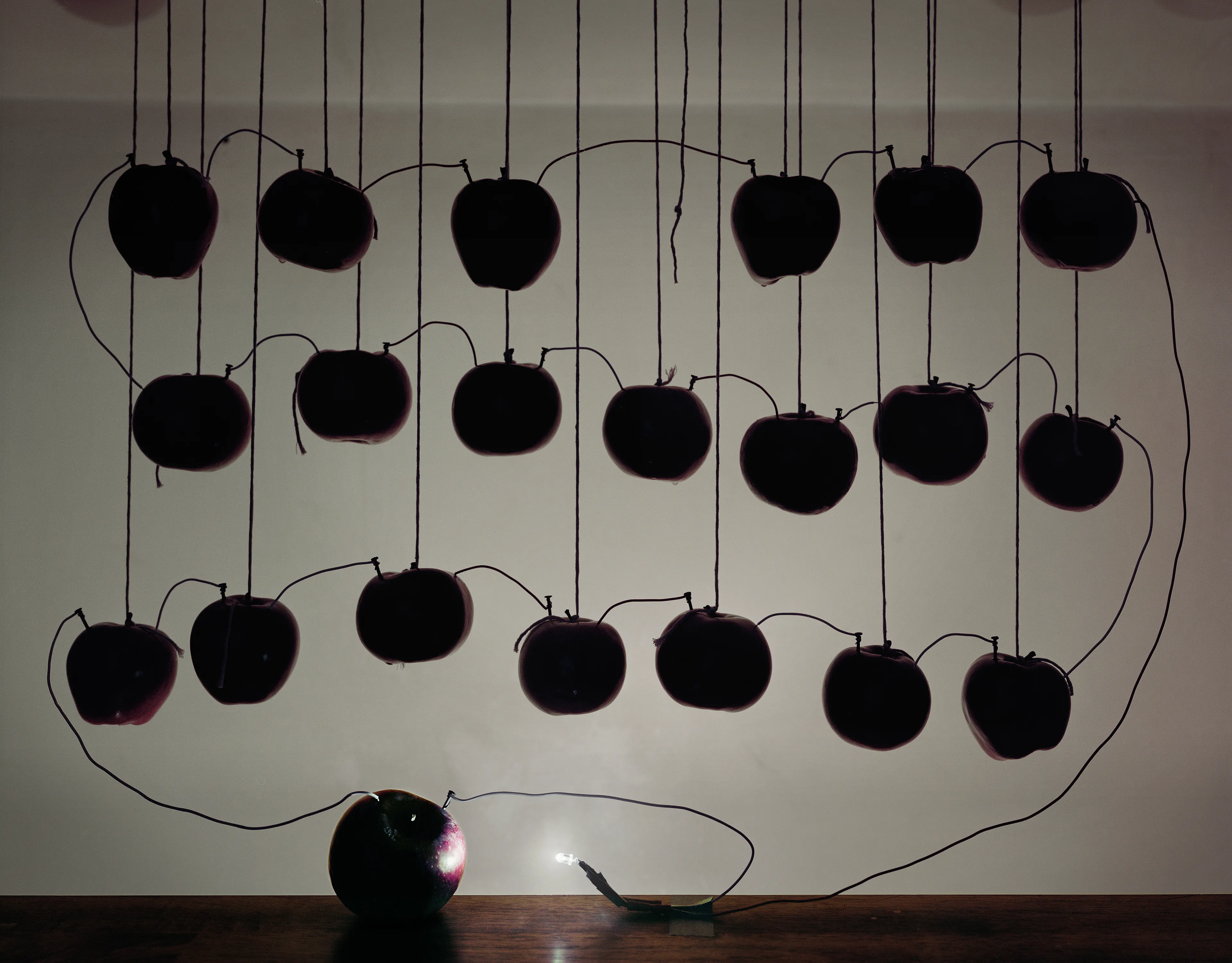 Back to Light expands upon the potato battery, a classic grade school science project. By inserting a galvanized nail into one side of a potato and a copper wire in the other side, a small electrical current is generated. 

Many people fondly remember drawing power from potatoes or fruit in the classroom. This work speaks to the gift of human curiosity, and a concern for the future of earth’s energy sources. The cycle that begins with light from our nearest star that is  photosynthesized by organic materials to produce energy is re-routed in these images, Back to Light, illuminating earth once again.
