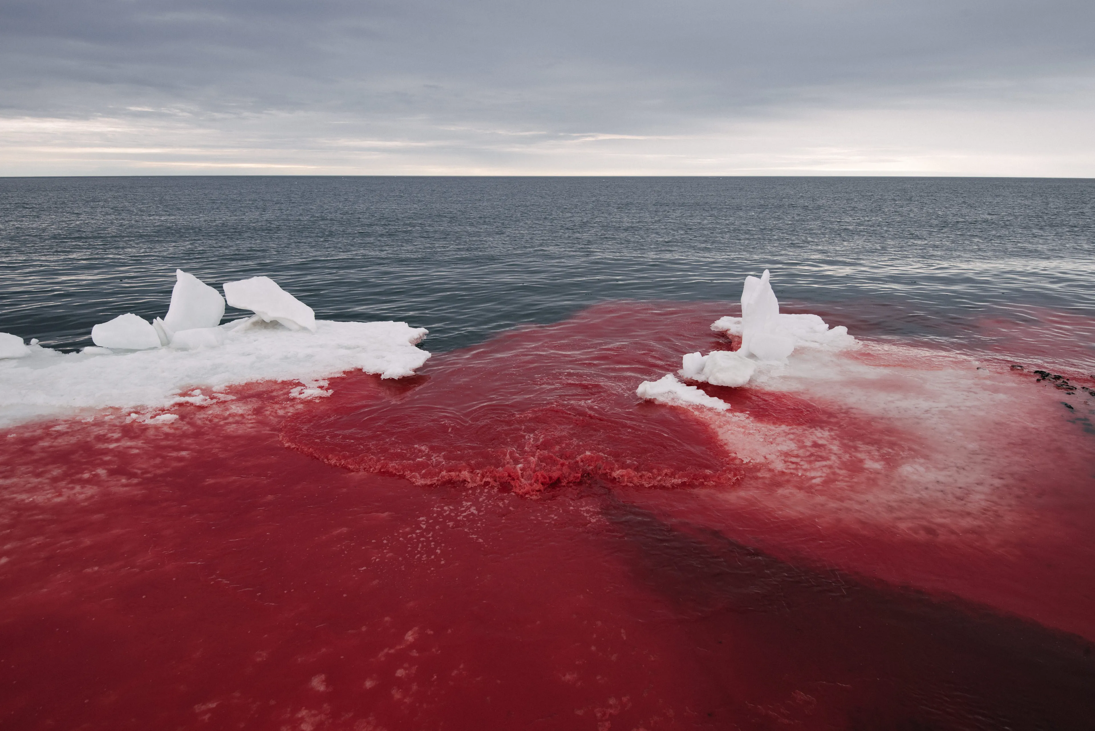 Towering icebergs, doomed expeditions in tall ships, desolate landscapes with naught but howling wind– this was the vast Arctic from the paintings of European explorers in the 19th century. That romance carries on in the 21st century, even as the ice vanishes and increasing numbers of people experience the North in person.

When the future has its way with the North, it will leave a radically altered land. The sea ice and its denizens will have vanished.  Contemporary Inuit will be living vastly different lifestyles than that of their ancestors. Future generations will look back to remember a land little understood by outsiders. Will the imaginations of foreigners paint the sole history of an Arctic with ice and snow? What are the memories of the 3 million Greenlandic Kalallit, Alaskan Iñupiat, and European Samí who call the Arctic their home?

Despite my ancestry as a Native Siberian, I experience the Arctic both as an insider and an outsider. My years there have left me with a vision of a multi-chromatic Far North. This is a land blued with ancient ice, deepened by blood, and radiant under the northern lights. My Arctic nostalgia is not for sailing ships, but for skinboats. My strongest memories are intimate ones– the smell of fermented seal oil, the sting of ice crystals on snowmobile rides, and the background din of howling Greenlandic huskies.

A future North awaits– not cold and unchanging, but living, dying and being reborn. Everyday memories of the Arctic will pass forward as they always have, kept by its Indigenous peoples and hidden in plain sight.

Point Nuvuk, Alaska