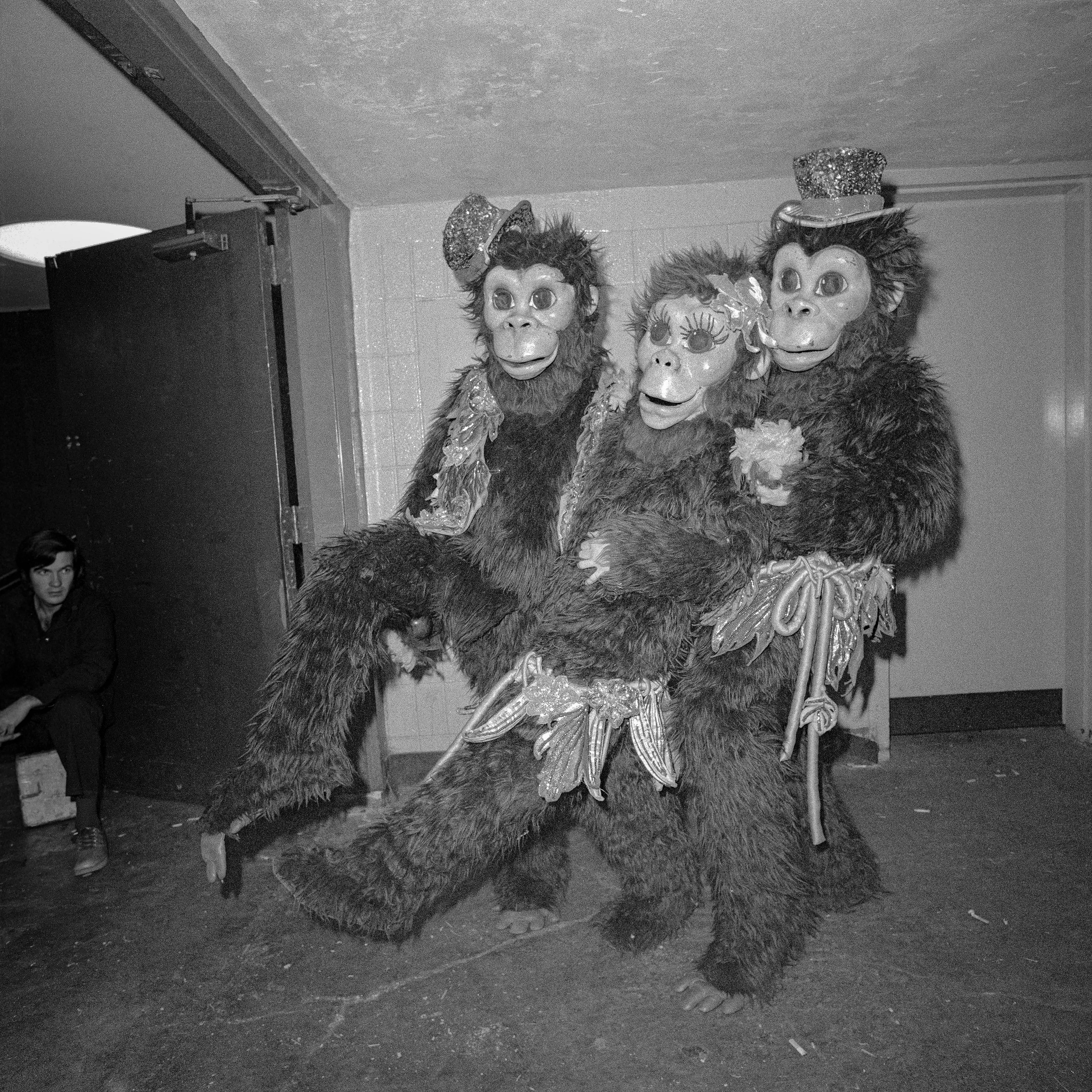 Meryl Meisler was born in 1951 in the Bronx and raised on Long Island, New York. Inspired by Diane Arbus, she enrolled in photography classes at The University of Wisconsin–Madison. Moving to NYC in 1975, she studied with Arbus' mentor Lisette Model, continuing to document life with her quirky eye. While frequenting NY's legendary discos, punk clubs, and Go-Go bars, Meryl captured hedonistic havens, celebrities, and revelers of the night, never revealing the large bodies of unseen work until retiring from her 31-year career as an NYC public school art teacher. Quantum curated this NFT drop from her internationally acclaimed books A Tale of Two Cities Disco Era Bushwick (2014), Purgatory & Paradise SASSY '70s Suburbia & The City (2015), and New York PARADISE LOST Bushwick Era Disco (2021). Imagine pulsating music spinning on vinyl  45RPM as you view these fascinating images encapsulating 1970s nightlife.

Meryl's exhibits include Brooklyn Museum, Annenberg Space for Photography, Dia Art Foundation, MASS MoCA, Islip Art Museum, Center for Photography at Woodstock, New Museum for Contemporary Art, LightWork, the Whitney Museum, galleries in NYC, Paris, and Berlin as well as installations at Grand Central Terminal and throughout the NYC subway system. Her first solo museum exhibition opens in May 2023 at the Zillman Museum. A recipient of numerous awards and fellowships, Meryl continues her photographic memoir begun in 1973 – a uniquely American story, sweet and sassy with a pinch of mystery. CLAMP represents her work.

NY, NY
April 1977