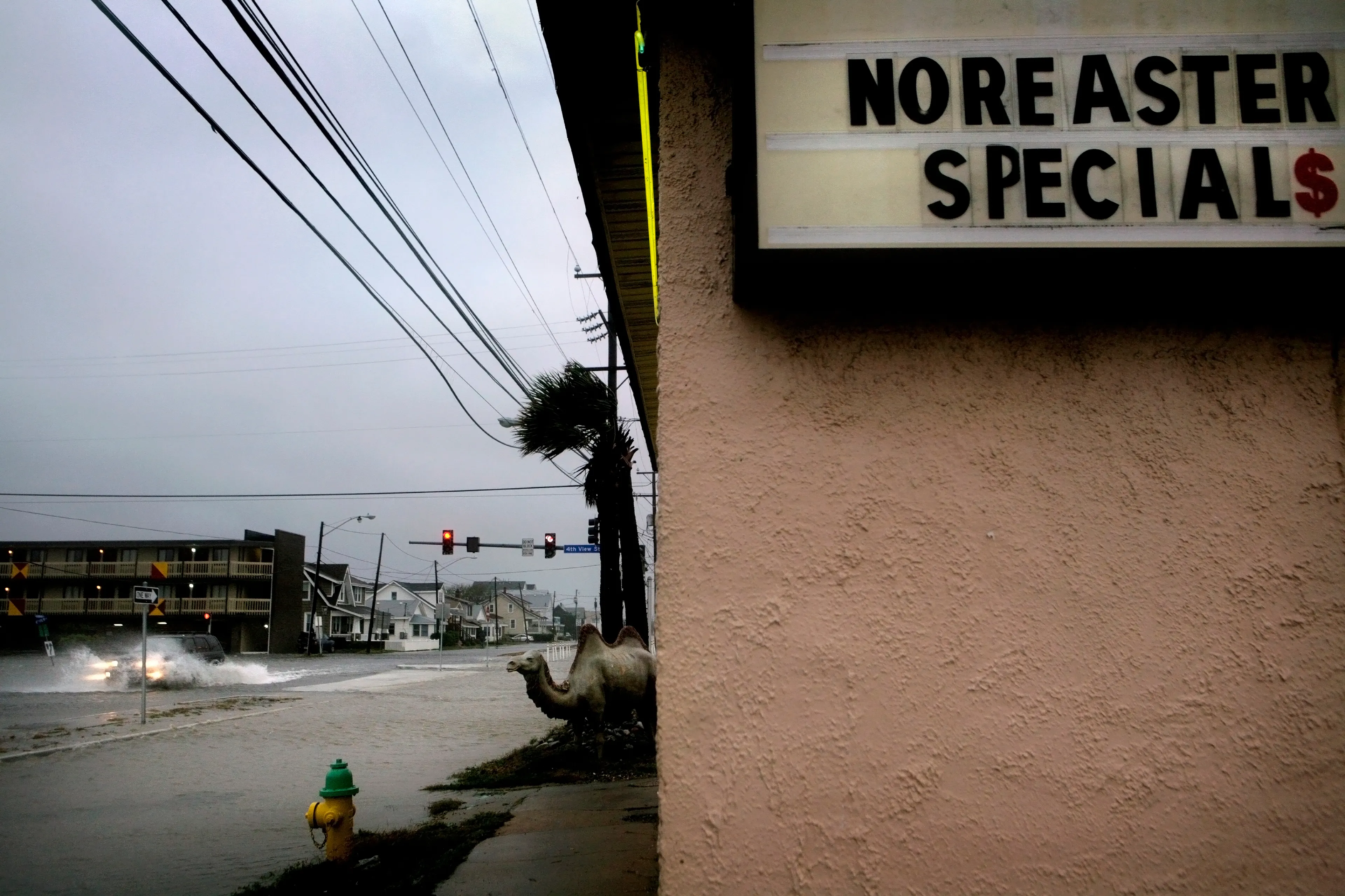 Between the Devil and the Deep Blue Sea is a visual essay about the changing character of a working-class seaside community located along the Chesapeake Bay in Virginia. The work explores residents' relationship to the natural environment and an American neighborhood that has become an intersection of class.