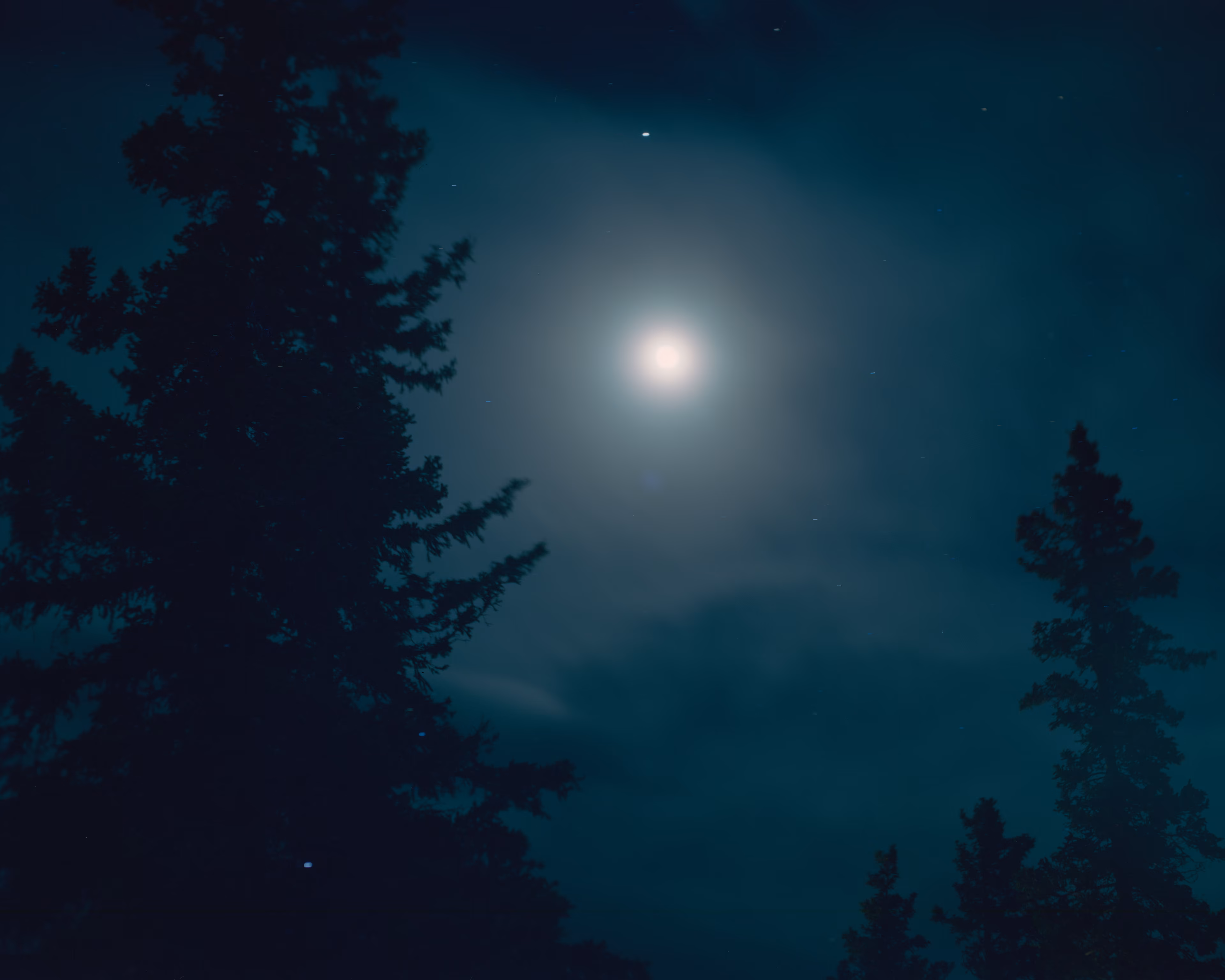 Polaris is a meditation on otherworldly encounters in the Circumpolar Northern landscape. At once an inward and outward exploration, the images reflect my childhood perception of the natural world: a realm of wonder, mystery, and sometimes magic.

To me, nature is the source of spiritual well-being, and making
photographs is a way to connect with that source. These images reconstruct a childhood mythology in the boreal Alaskan landscape, where I was raised. The series explores the affinities
between Iceland and the Alaskan Arctic; distant regions connected by climate, remoteness, and
seismic activity. By traversing the landscape on foot in a receptive state of mind, numinous experiences reveal themselves. Ice, weather, animals, and celestial phenomena take on significance, and our human scale in geologic time becomes clearer.

These images convey transcendent encounters, each imparting a sense of wonder in the presence of the unknown. Polaris, the North Star, functions as a metaphor for the presence I feel emanating from these places, the only constant in environments that are otherwise in constant flux.