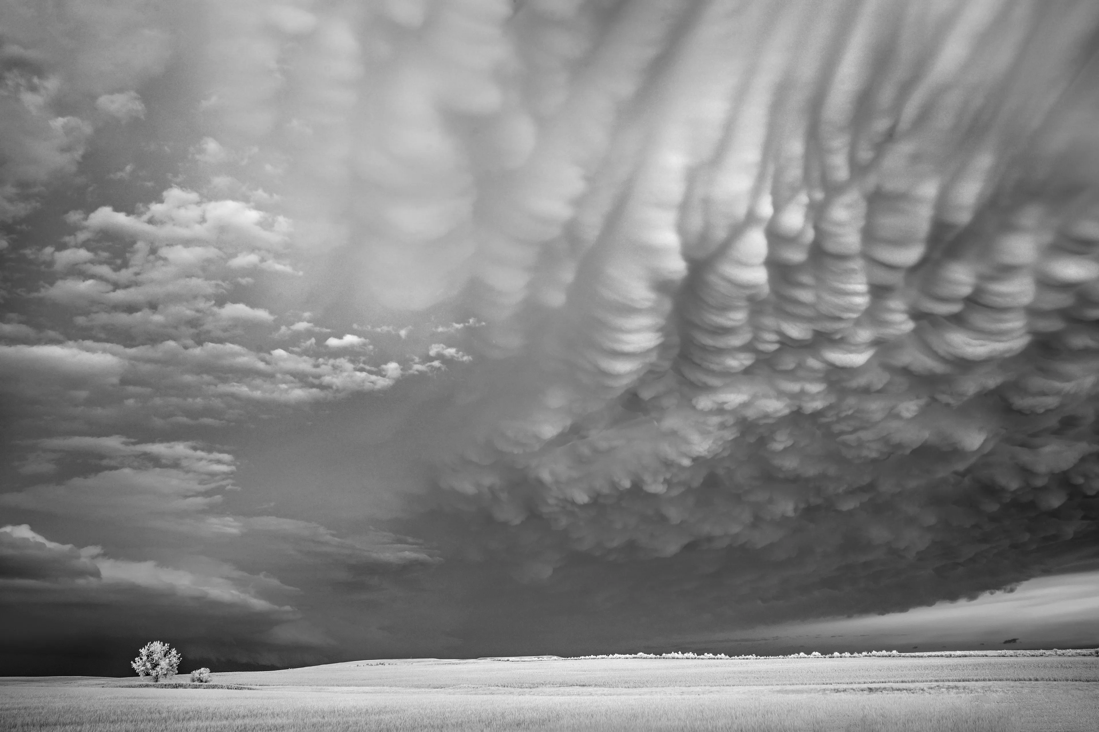 Mitch Dobrowner has been chasing storms since 2009, traveling throughout Western and Midwestern America to capture nature in its full fury. Represented by Kopeikin Gallery, Los Angeles.

Date: 2016