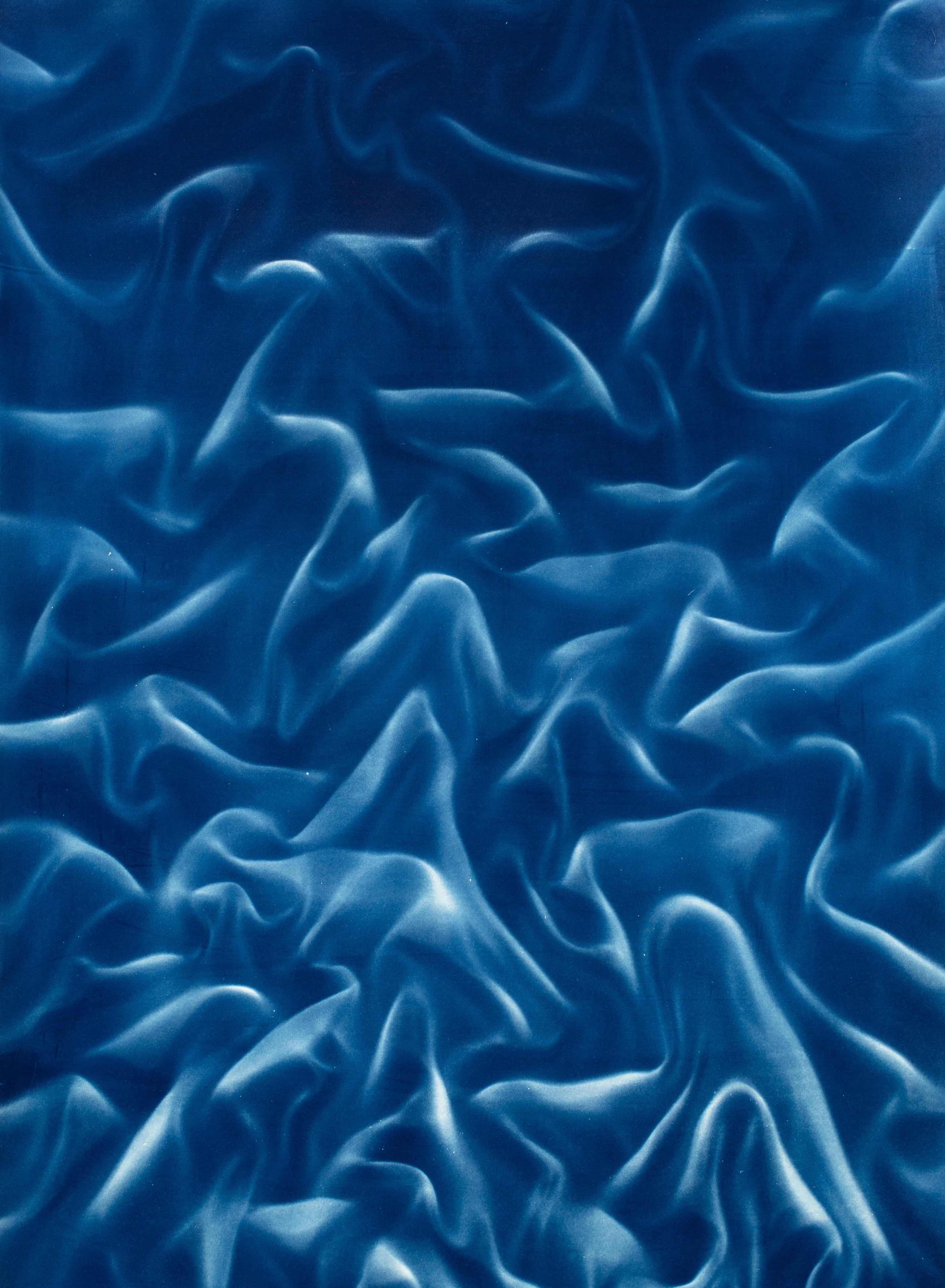 Beyond the Veil is simultaneously a melding of mediums as a means to sculpt with light, and an attempt to
capture the fabric of reality. I work with cyanotype, an alternative photography process that yields blue-
toned impressions when exposed to UV light. 
Cyanotype allows me to interact directly with light, one of the most subtle phenomena we experience day to day. Combined with sculpture, collage and drawing, the
cyanotype process is a powerful creative tool fueled by the sun. Working with light and shadow is to
become aware of how they describe our reality.

Created over the past eight months, this collection has been my safe haven from the world. A finger on the
pulse of something deeper than the chaotic rhythm of daily life, an album of captive sunlight and
experiences preserved in blue. The stillness of winter sunlight, silent rolling waves, a slow, even breath. I
hope you too can find solace here.