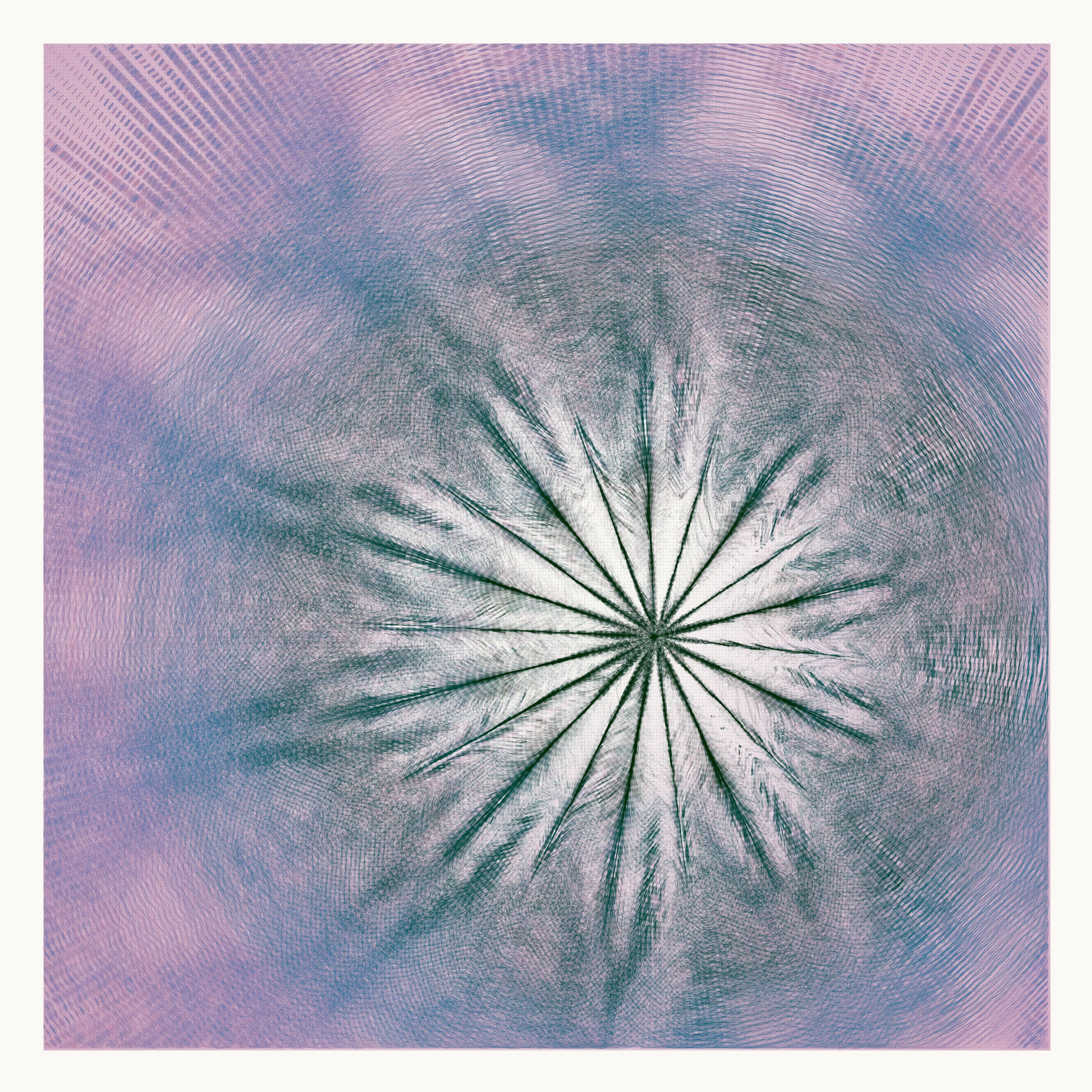 Singularity consists of 150 abstract generative flowers, each bursting to life from a single point, like a cosmic explosion frozen in time. These flowers are a symphony of color, with intricate patterns and delicate petals that invite the viewer to explore every detail. Their beauty is transcendent, stirring something deep within the soul.

In this collection, the flowers serve as a metaphor for growth and potential. From a single point of origin, each flower unfolds into something unique and awe-inspiring, reminding us that even the smallest seed contains limitless possibilities.

This collection is a testament to the beauty and power of generative art. It invites us on a journey into the infinite, celebrating the vibrant, ever-changing nature of life itself.