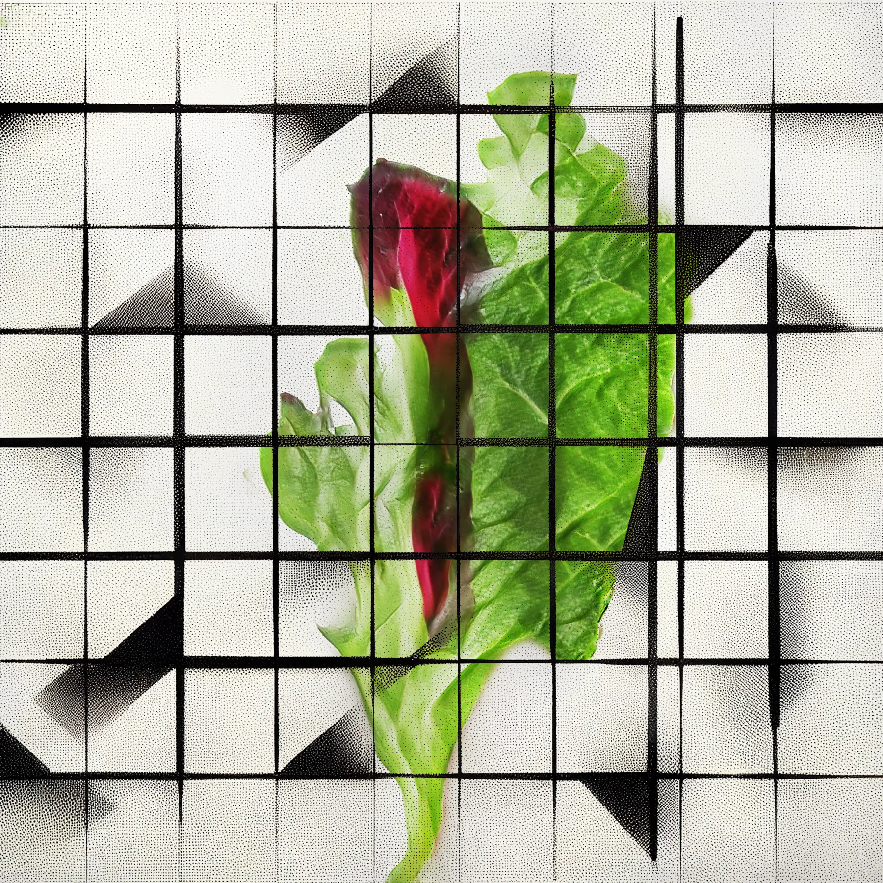 Welcome to NeuralBricolage's veGAN Grande Finale, a hundred and one new unique latenttuce cultivars, this time grown on generative geometric grids to provide a framework for their growth. The latenttuce project has started more than 4 years ago with the main goal to present humble and familiar vegetables afresh as unfamiliar and stunning. But oftentimes while pretty, salad leaves can’t stand on their own aesthetically - to show off their quiet organic beauty I contrasted it with the geometry of a grid adding it also as a metaphor for synergetic growth. As always, these cultivars are sourced from the NeuralBricolage terroir, ensuring their unique origin and quality. Enjoy the last harvest season!