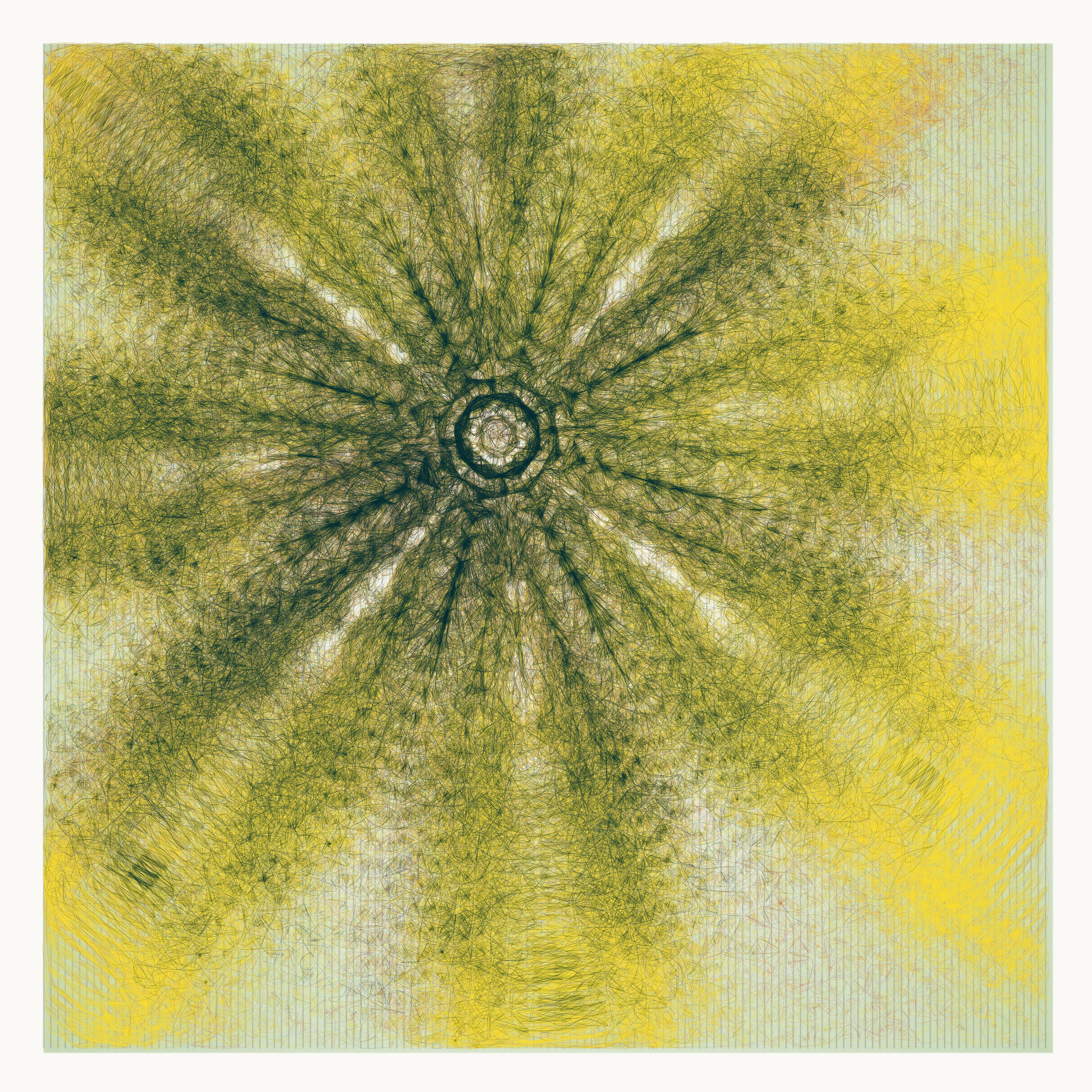 Singularity consists of 150 abstract generative flowers, each bursting to life from a single point, like a cosmic explosion frozen in time. These flowers are a symphony of color, with intricate patterns and delicate petals that invite the viewer to explore every detail. Their beauty is transcendent, stirring something deep within the soul.

In this collection, the flowers serve as a metaphor for growth and potential. From a single point of origin, each flower unfolds into something unique and awe-inspiring, reminding us that even the smallest seed contains limitless possibilities.

This collection is a testament to the beauty and power of generative art. It invites us on a journey into the infinite, celebrating the vibrant, ever-changing nature of life itself.