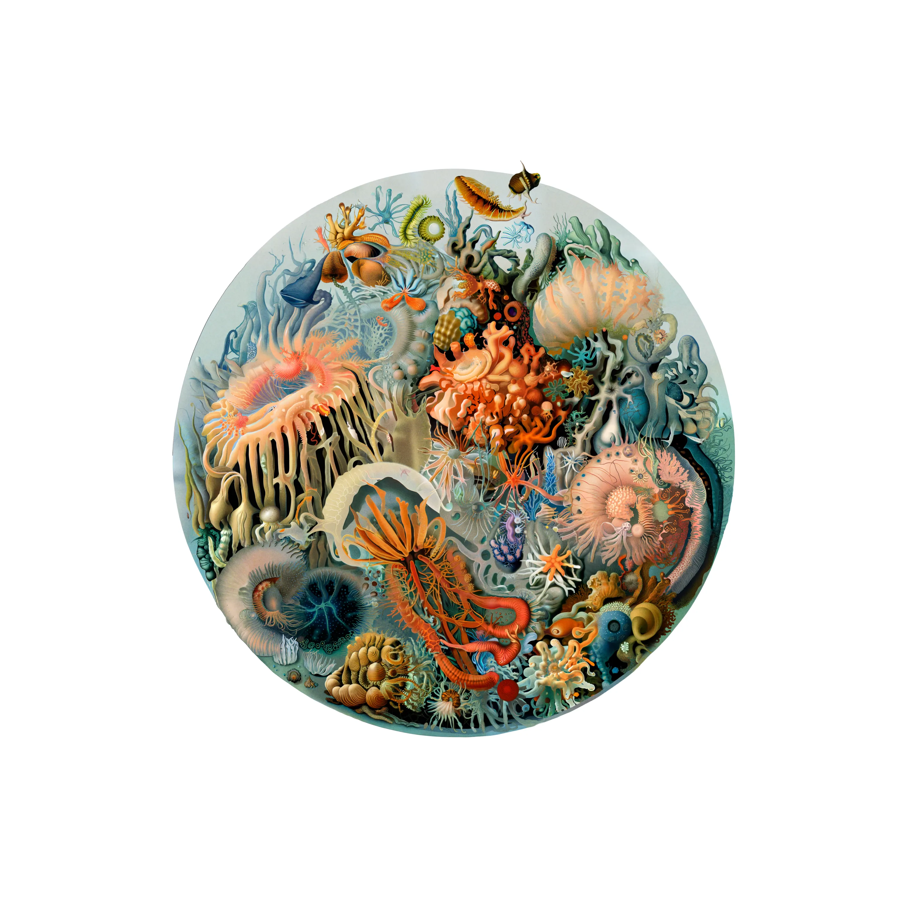 When we examine even a tiny drop of water, we uncover thriving communities of life and interconnections. It is easy to see each drop as a self-contained world, bounded by surface tension. However, given the opportunity, even the smallest of these ecosystems will blend with other bodies of liquid, altering the life forms and composition within. This series represents a collection of samples taken from the same intertidal area of artificial life, forming a collection of microscopic worlds, all seemingly singular, yet patiently waiting for the chance to blend into something greater.