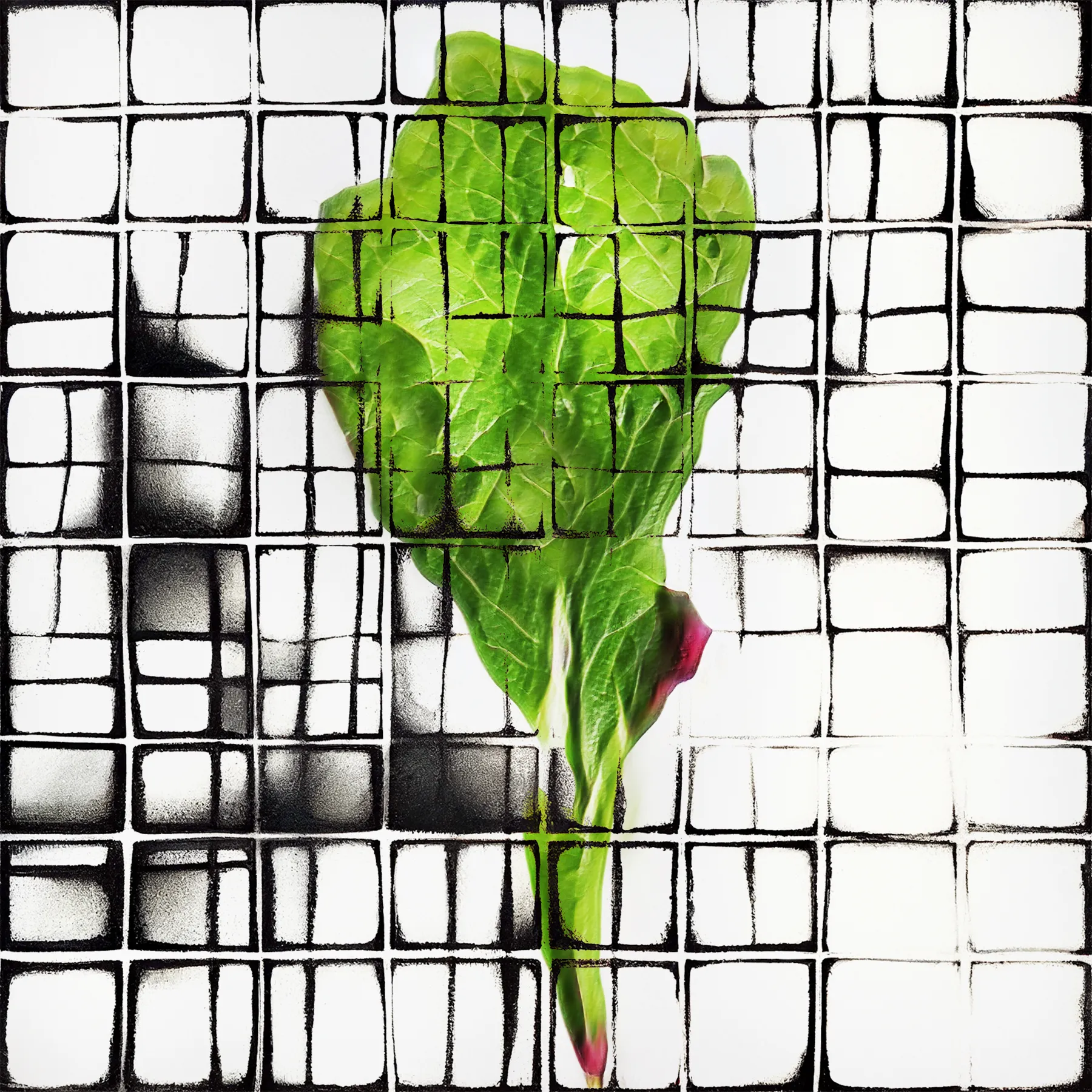 Welcome to NeuralBricolage's veGAN Grande Finale, a hundred and one new unique latenttuce cultivars, this time grown on generative geometric grids to provide a framework for their growth. The latenttuce project has started more than 4 years ago with the main goal to present humble and familiar vegetables afresh as unfamiliar and stunning. But oftentimes while pretty, salad leaves can’t stand on their own aesthetically - to show off their quiet organic beauty I contrasted it with the geometry of a grid adding it also as a metaphor for synergetic growth. As always, these cultivars are sourced from the NeuralBricolage terroir, ensuring their unique origin and quality. Enjoy the last harvest season!