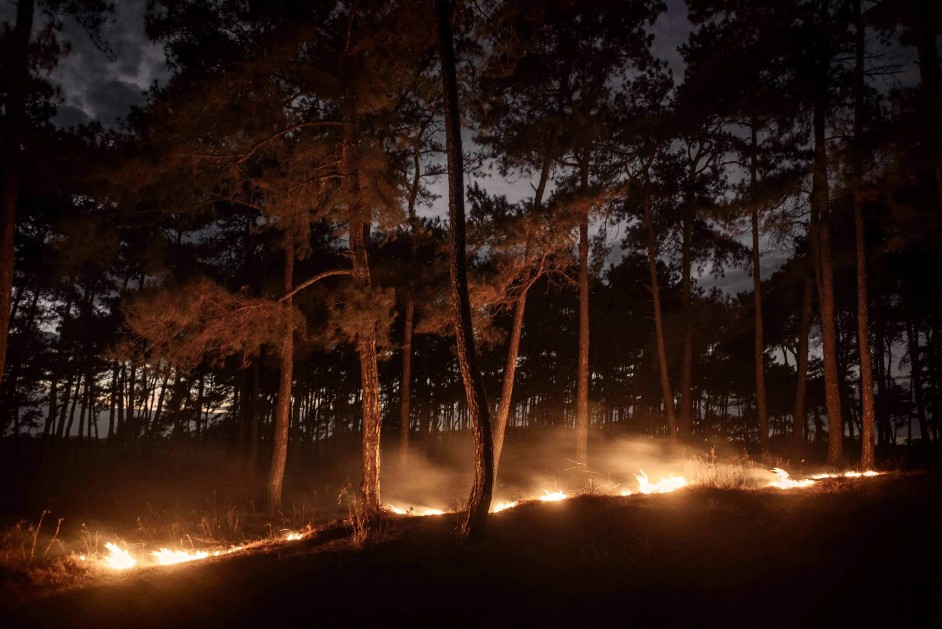 Assembly presents *Centralia* by Poulomi Basu, an award-winning series of photographs that exposes hidden crimes of war as an indigenous people fight for their survival. In war, truth is the first casualty; this work explores the unsteady relationship between reality and fiction and how our perceptions of truth are manipulated. *Centralia* has been called a hallucinatory reflection where an invisible conflict between a guerilla army, an indigenous people and the Indian state reveals wider issues of environmental degradation. Such exploitation comes at a price: the transmogrification of violence into the de-facto language of politics. Basu is an internationally-exhibited Indian transmedia artist and activist, a National Geographic Explorer, Sundance Fellow, Magnum Fellow, winner of Arles Discovery Award 2020, and nominee for the Deutsche Börse Prize 2021. A portion of proceeds from the sale will go to PARI Network to fund grassroots efforts to help Dalit women tell their own stories. 