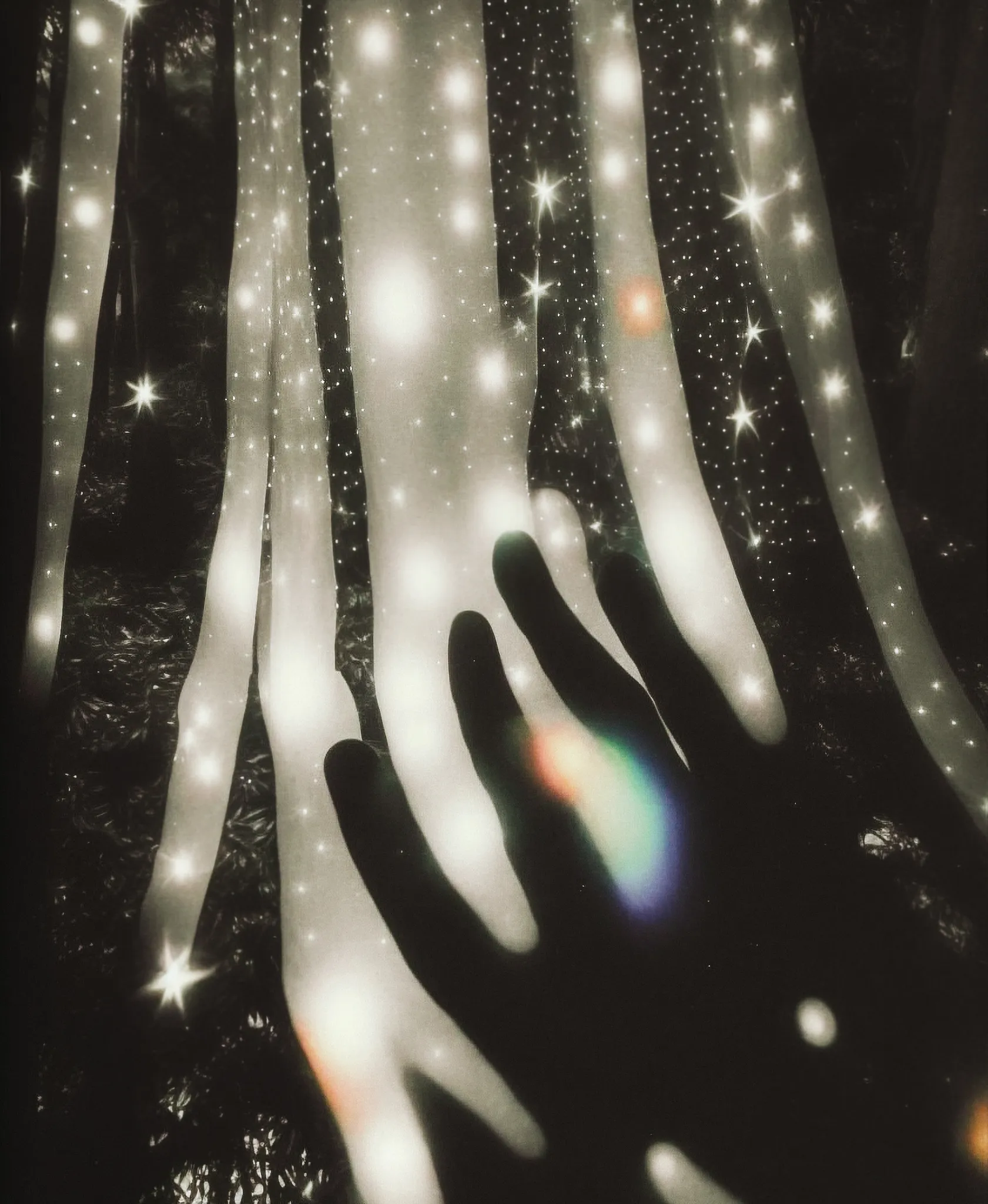 Touch the dust

~

Celestial Portals is a visual journey through the spiritual space that exists within us, around us, and beyond us, as we move through one world and into another. 

--

AI assisted imagery
1681 x 2048