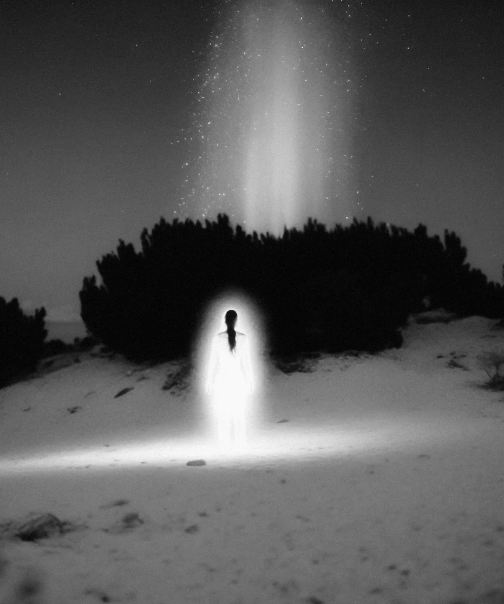 Otherside

~

Celestial Portals is a visual journey through the spiritual space that exists within us, around us, and beyond us, as we move through one world and into another. 

--

AI assisted imagery
1708 x 2048