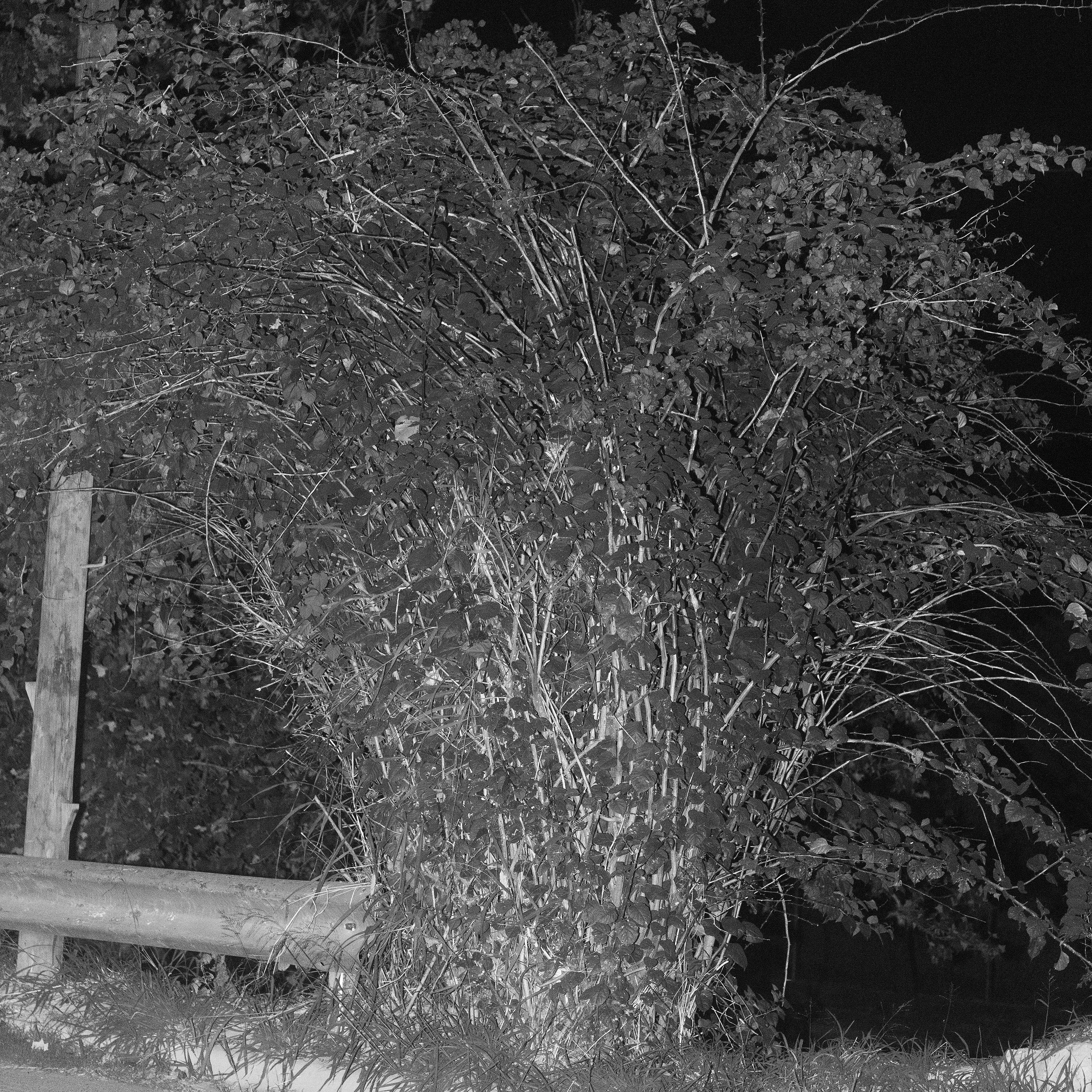 POINT OF ENTRY #24 by Fernando Gallegos

For a while I’ve been studying the language of the Latin American city through its urban awkwardness. A few months submerged in the NFT world have made me conscious of the apparent separation of both realities. In this work I look for the metaphorical fracture happening in the “real life” that makes the abstraction of the digital realm so appealing for some of us. These images, made late at night in the awkward metropolis of Monterrey, México, depict things and spaces in which there always seem to be something just beyond what's in front of us, as if we were at the edge of making a big discovery if we just took one step forward. As a group they create a landscape full of possibilities at the same time unsettling and exciting. 

Edition: 1 of 1

Commissioned by Obscura