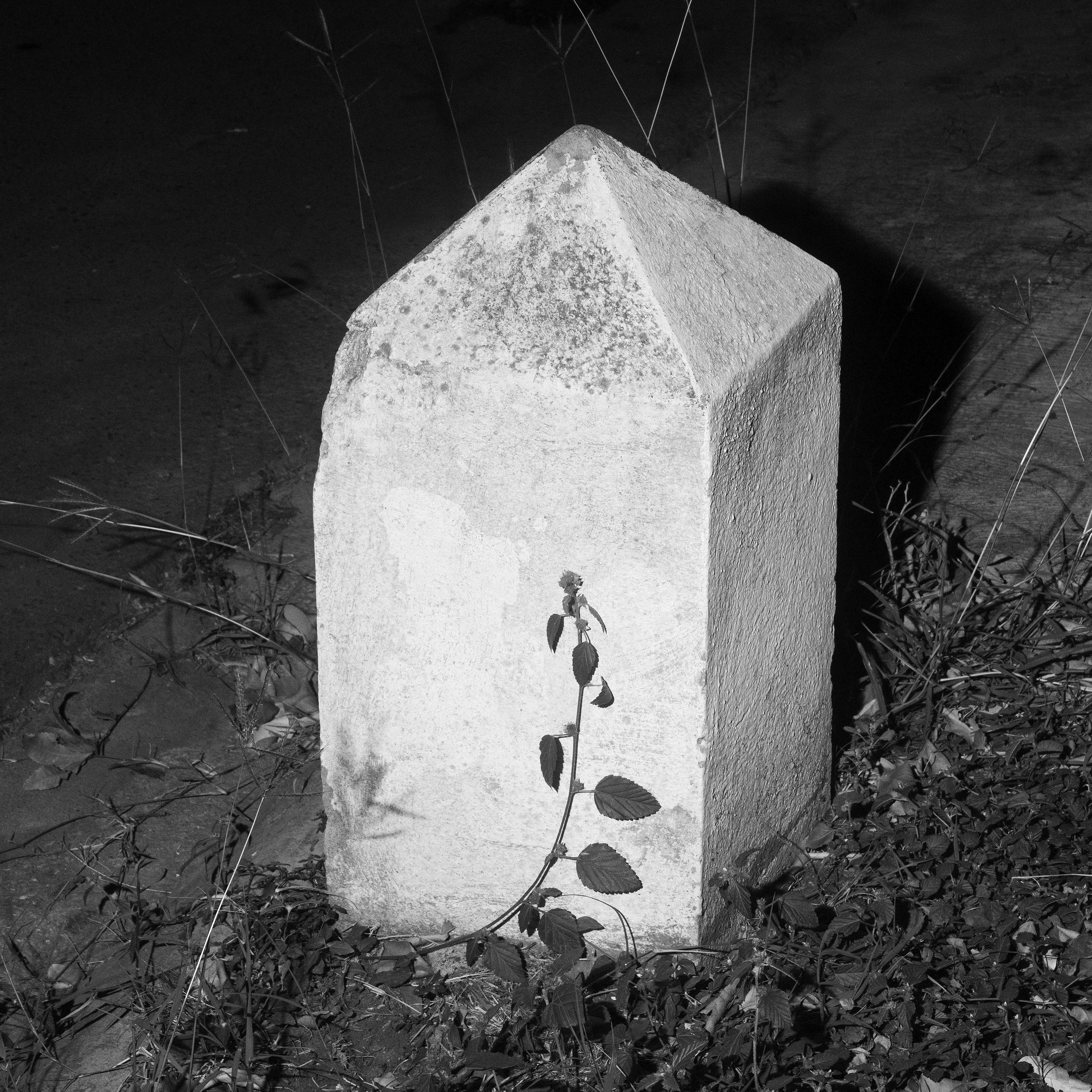 POINT OF ENTRY #13 by Fernando Gallegos

For a while I’ve been studying the language of the Latin American city through its urban awkwardness. A few months submerged in the NFT world have made me conscious of the apparent separation of both realities. In this work I look for the metaphorical fracture happening in the “real life” that makes the abstraction of the digital realm so appealing for some of us. These images, made late at night in the awkward metropolis of Monterrey, México, depict things and spaces in which there always seem to be something just beyond what's in front of us, as if we were at the edge of making a big discovery if we just took one step forward. As a group they create a landscape full of possibilities at the same time unsettling and exciting. 

Edition: 1 of 1

Commissioned by Obscura