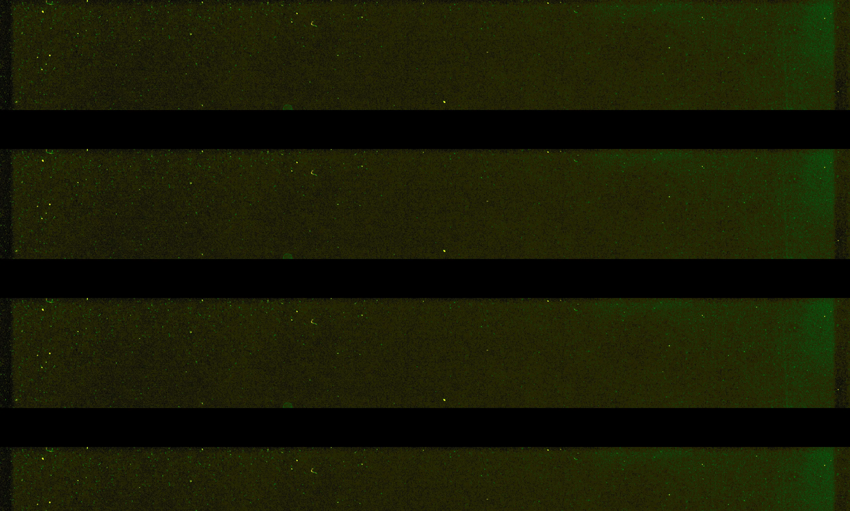 space and time. a static instrument. matter confined not only to a 3 dimensional position, but also to a 4th axis through the time it inhabits, only desiring to change if acted upon. without action, there is no reaction. without action, there is no movement. without action, there is no progress.

the fascination with that action and reaction captured many minds in the age of photography. art was dead, there was no reason to learn the ways of the old masters if you could just snap a picture. yet, life carried on, and life desired to be captured not as a static moment but in all 4 dimensions.

what etienne-jules marey's original chronophotograph here is just that. not a photograph of a still life, but a portrait of action, one that would go on to define not just photography or cinematography, but the very nature of art itself.
