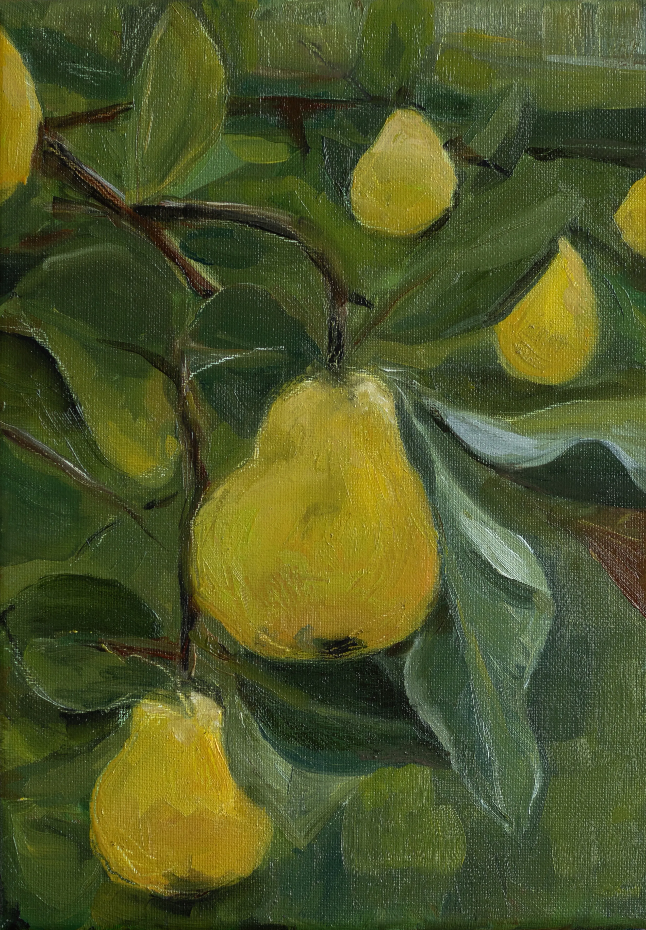 33,5cm x 24cm, oil on canvas.