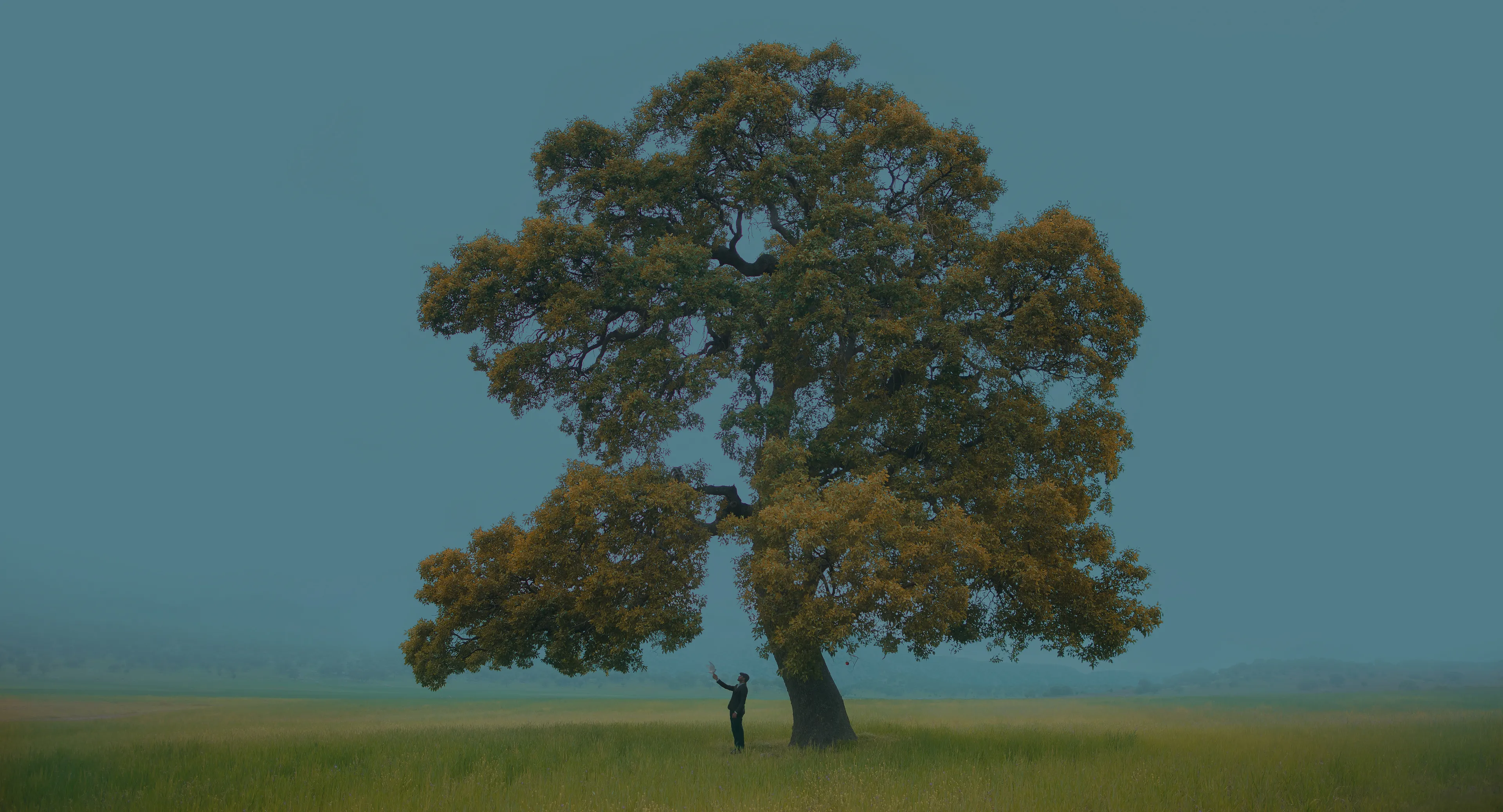 Digital photography, Self-portrait (2024) / Title by MRC Arte