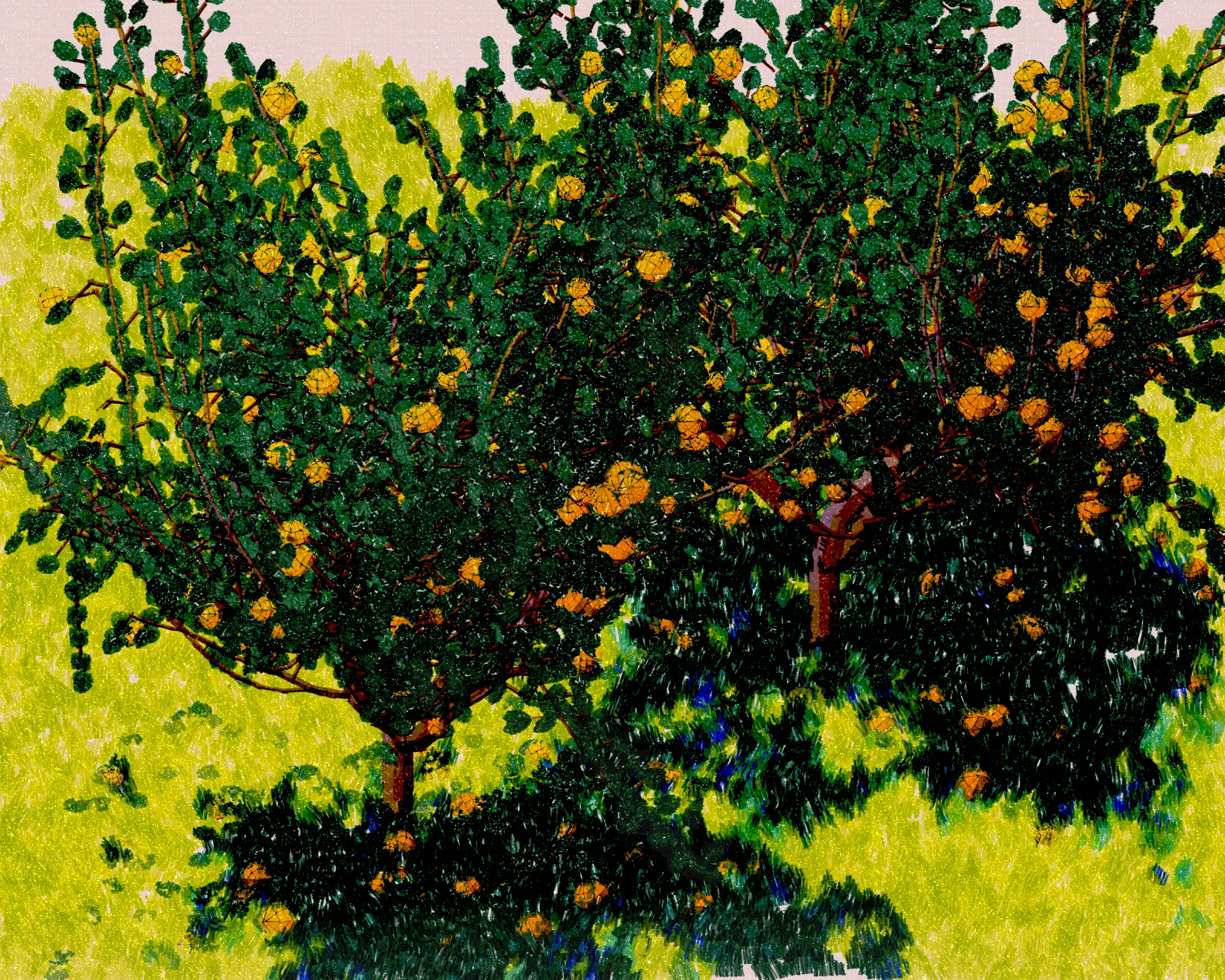 Old Grove depicts the quiet beauty of forgotten, unpruned citrus trees. The branches are heavy with ripe fruit sometimes drooping toward the earth where fallen fruit lie. These trees have found their freedom, growing with abandon, shaping themselves as they please. Each piece is rendered with the delicate touch of pointillism, the harmony of divisionism, and the fleeting grace of impressionism, inviting the viewer into a moment of natural reverie.