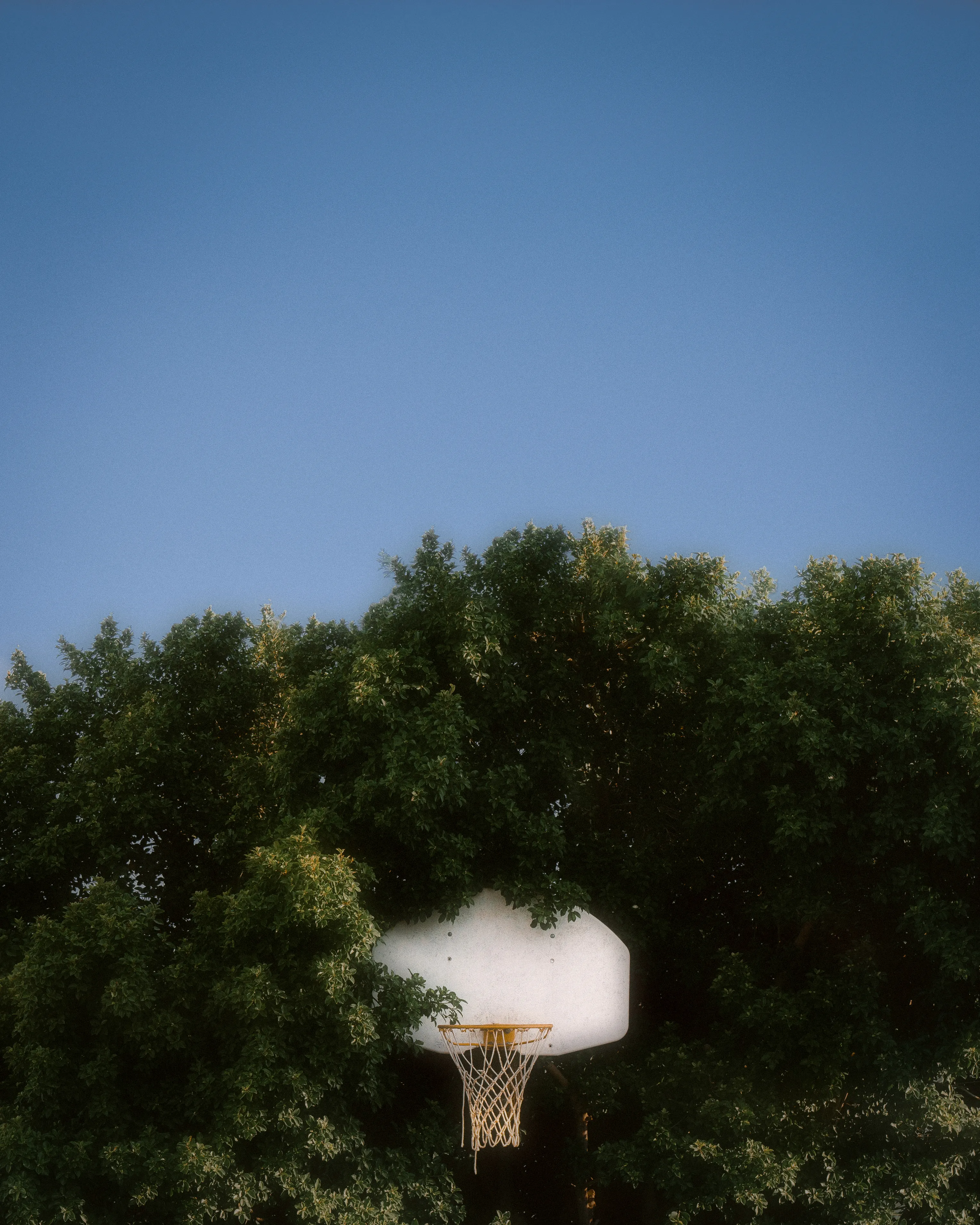 08/27/23

A few weeks remain of my 20's.  
Time has felt more precious.  
I miss Wes.  
How did I get here?  
Where'd it all go?  
The inner child is still there.  
Overgrown memories, outgrown ways.

-DK