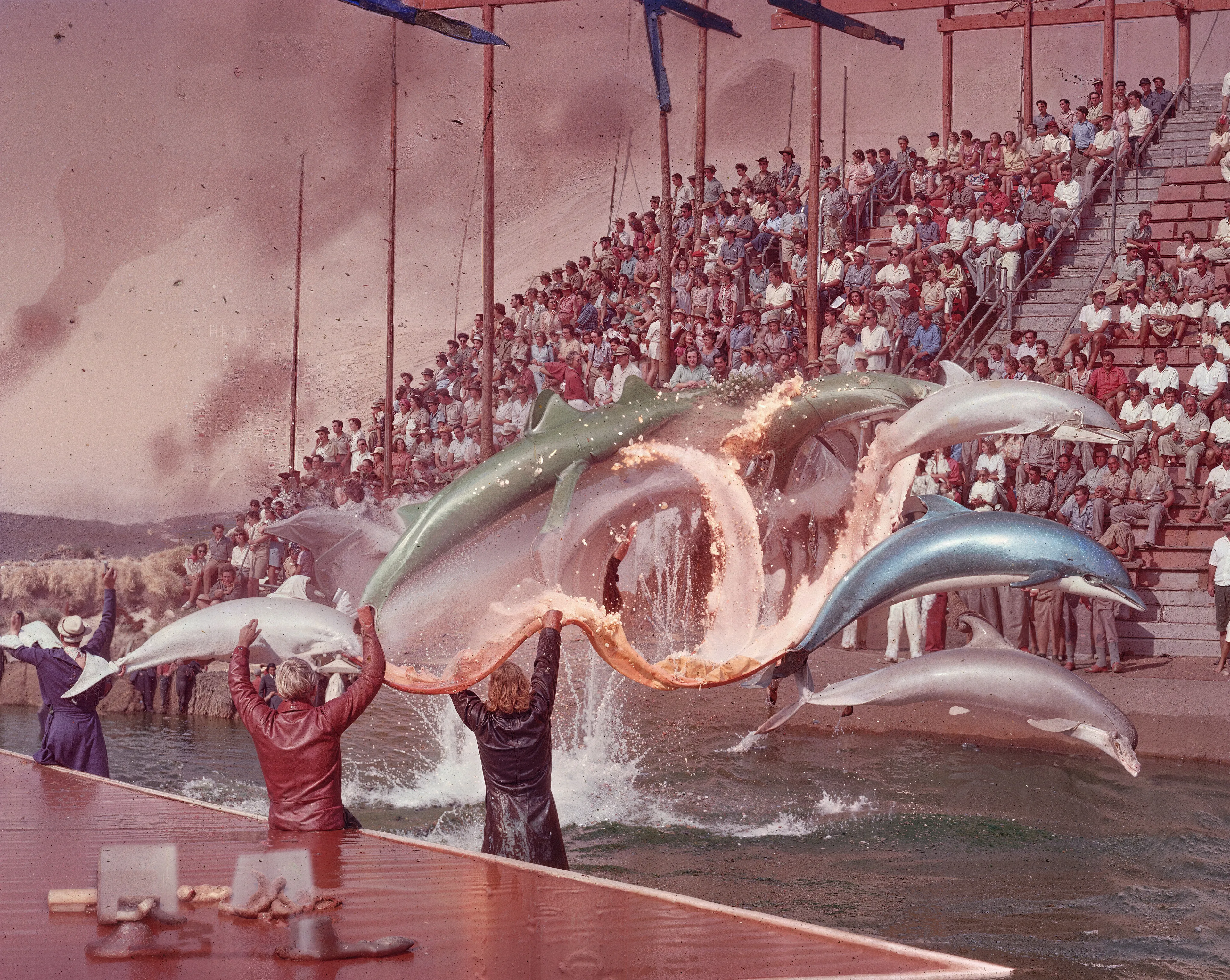 35mm #1: USA, Miami, 1950s - Feeding two dolphins mid-jump at Miami Seaquarium
35mm #2: USA, Miami, 1950s - Dolphin jumping through a hoop of fire at Miami Seaquarium