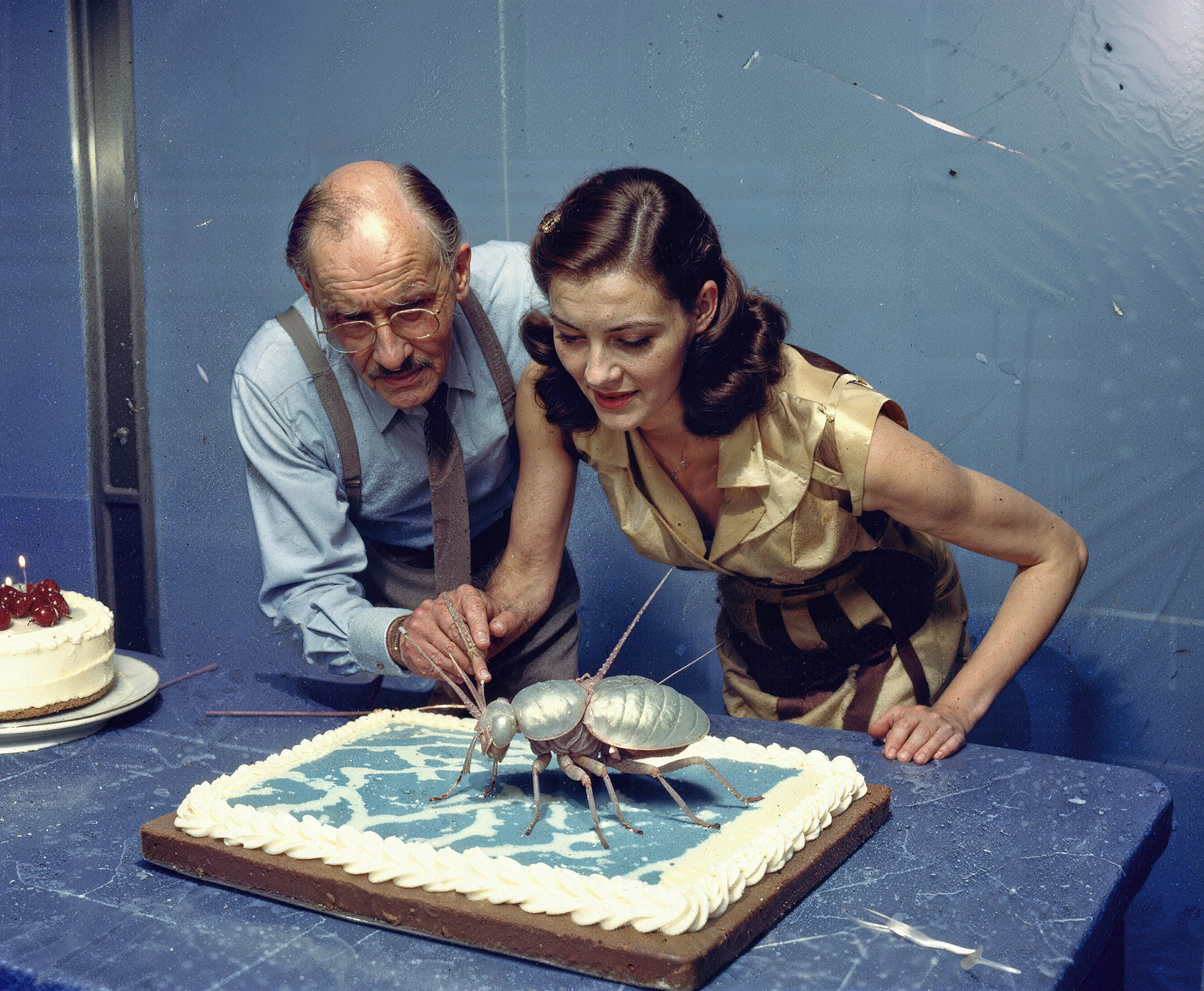 35mm #1: England, Devon, 1970s - Close-up of an aphid
35mm #2: USA, California, 1980s - Woman cutting a big blue birthday cake