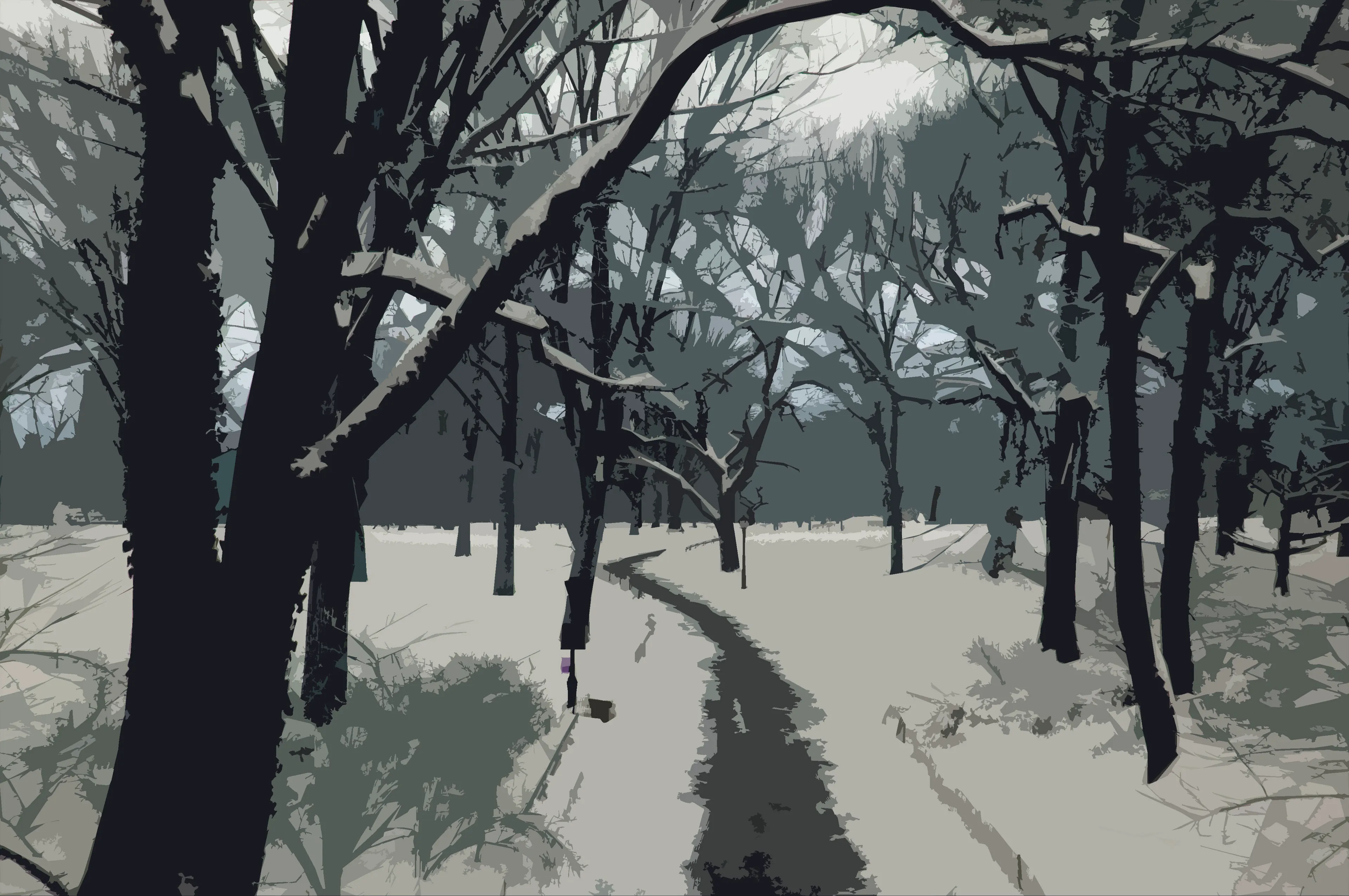 WALK IN THE PARK - WINTER, 2013