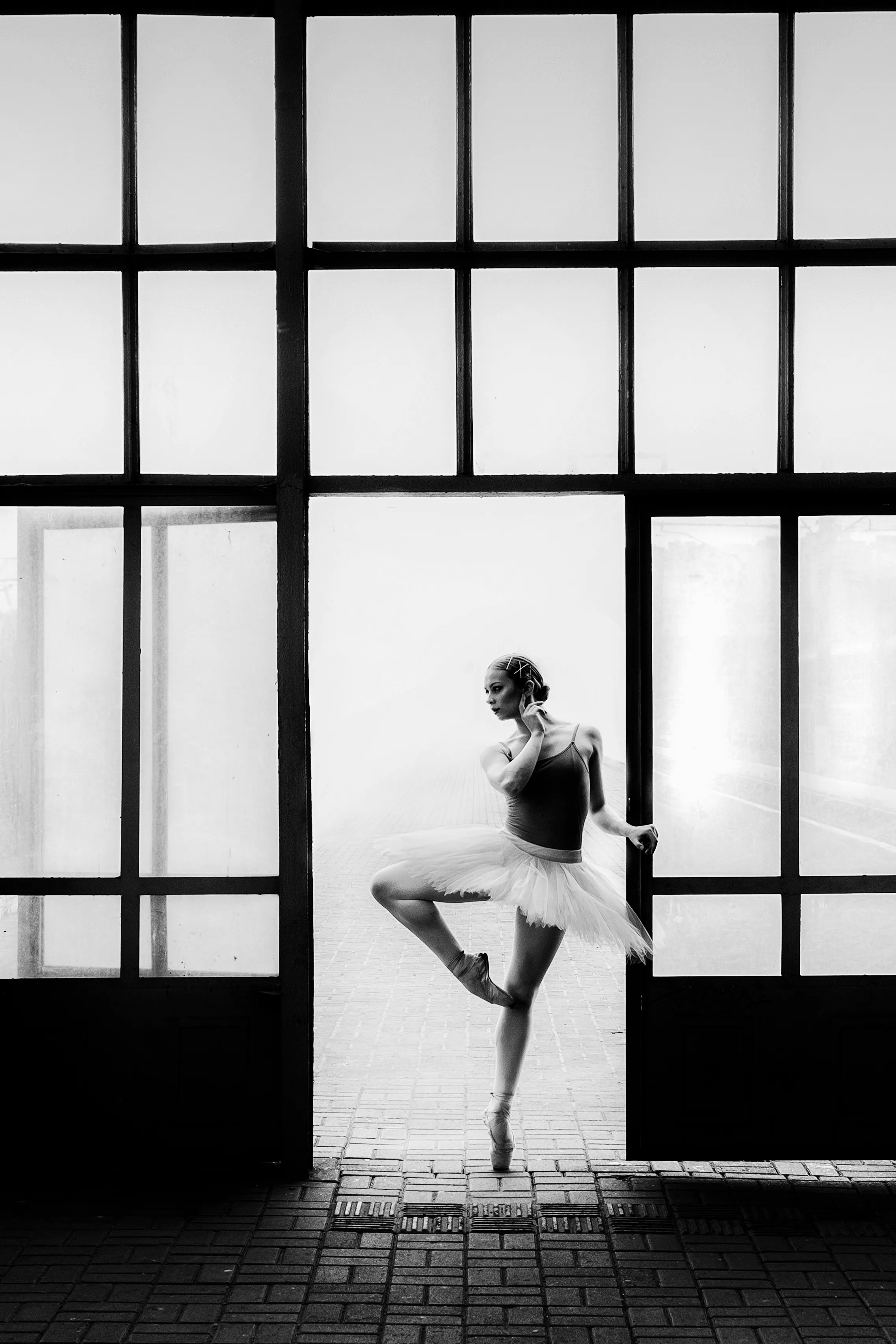 One of the best ballerinas in the world Anna Pavlova  said; If I could sing, I wouldn't have to dance.
Ballet is expressing everything that cannot be expressed with words through dance. Ballet is a representation of aesthetics and pure elegance. 
From Ukraine. 