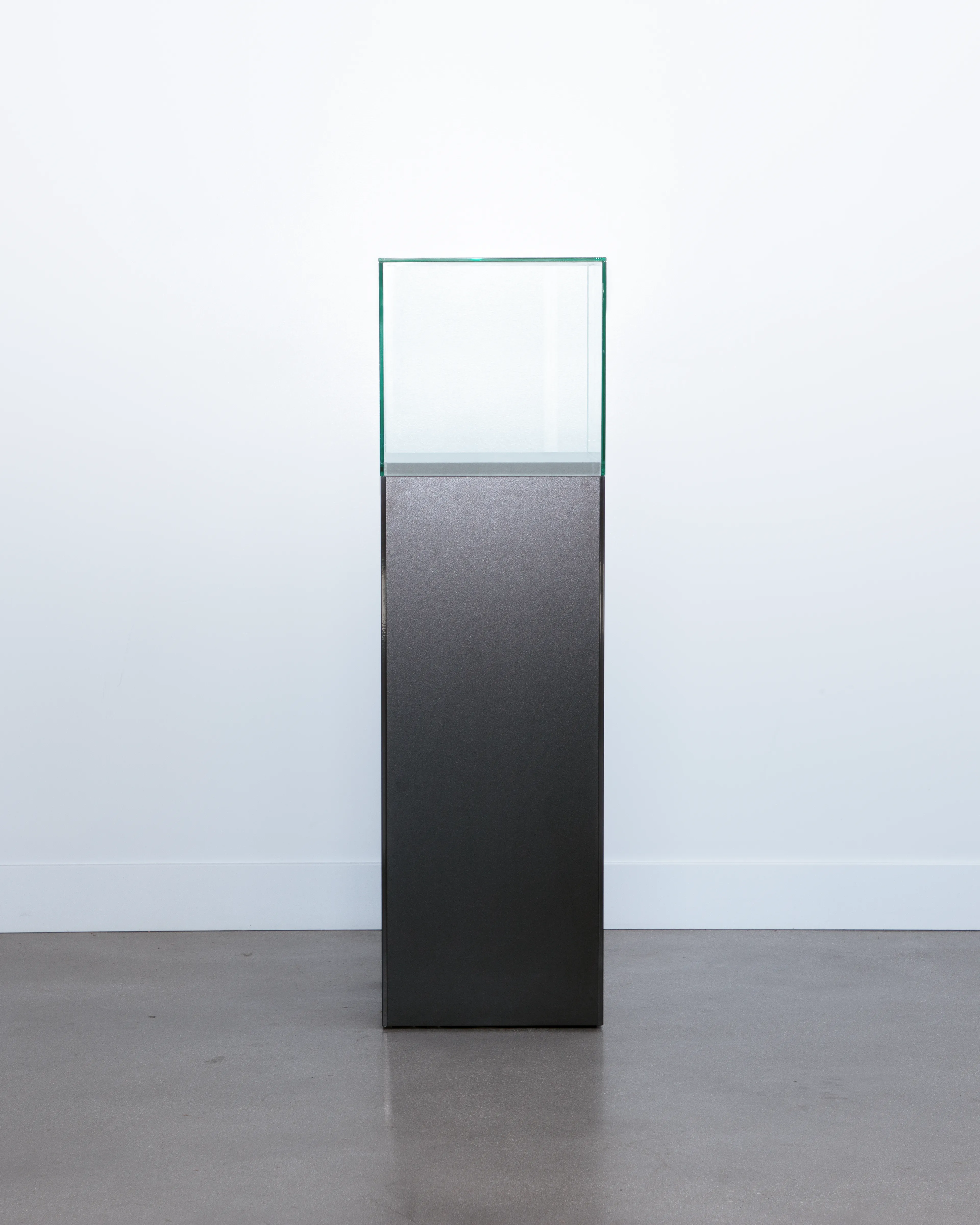OXYGEN, 2022

The physical sculpture uses only air as the material
Enclosed in glass on a cubic monolith in black

Certificate of Authenticity

