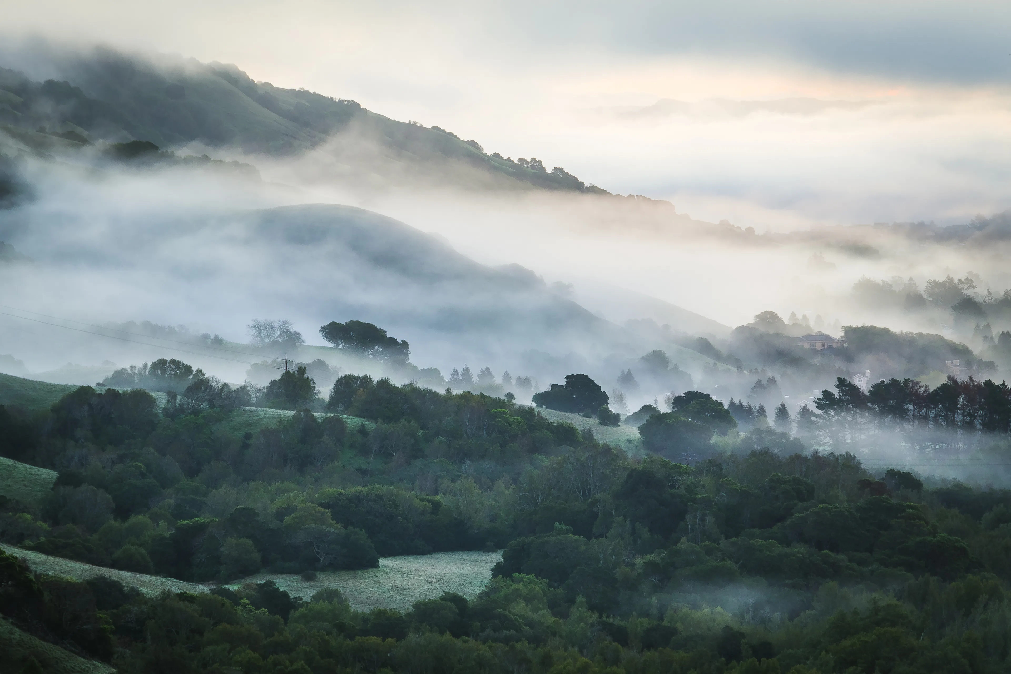 George Lucas’ famous Skywalker Ranch is down there somewhere in the fog. Despite being named Lucas Valley, it’s not named after George Lucas…it’s had its name since the mid-1800s.