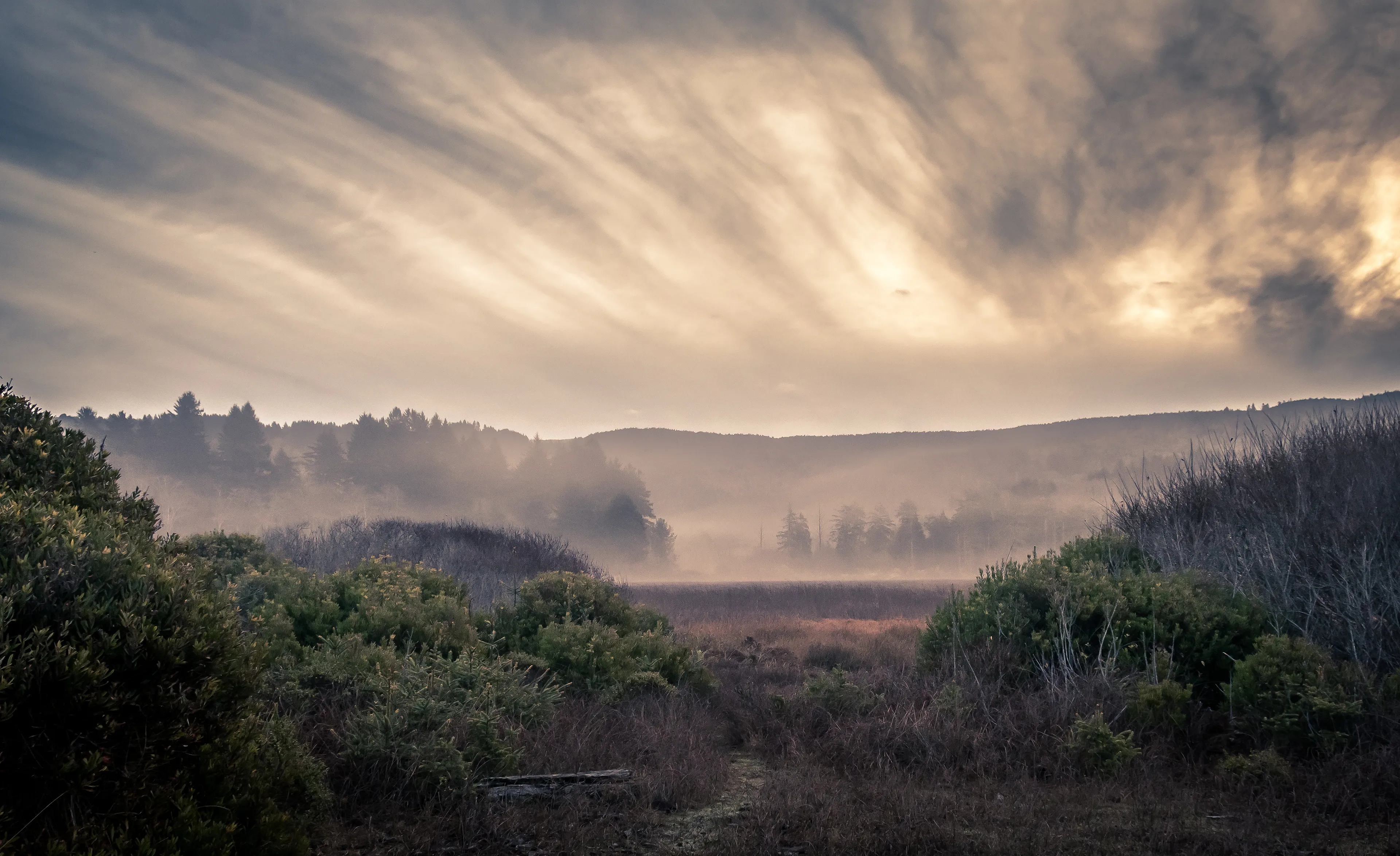 A remote valley in Northern California. The fog was otherworldly and diffuse, rising from the ground and creeping through the bushes. Above, streaky clouds lent an even stranger appearance to the sky. It felt so unearthly, I've struggled to replicate exactly what it looked and felt like, but I've finally achieved a bit of what it felt like to stand there alone in the landscape that morning.