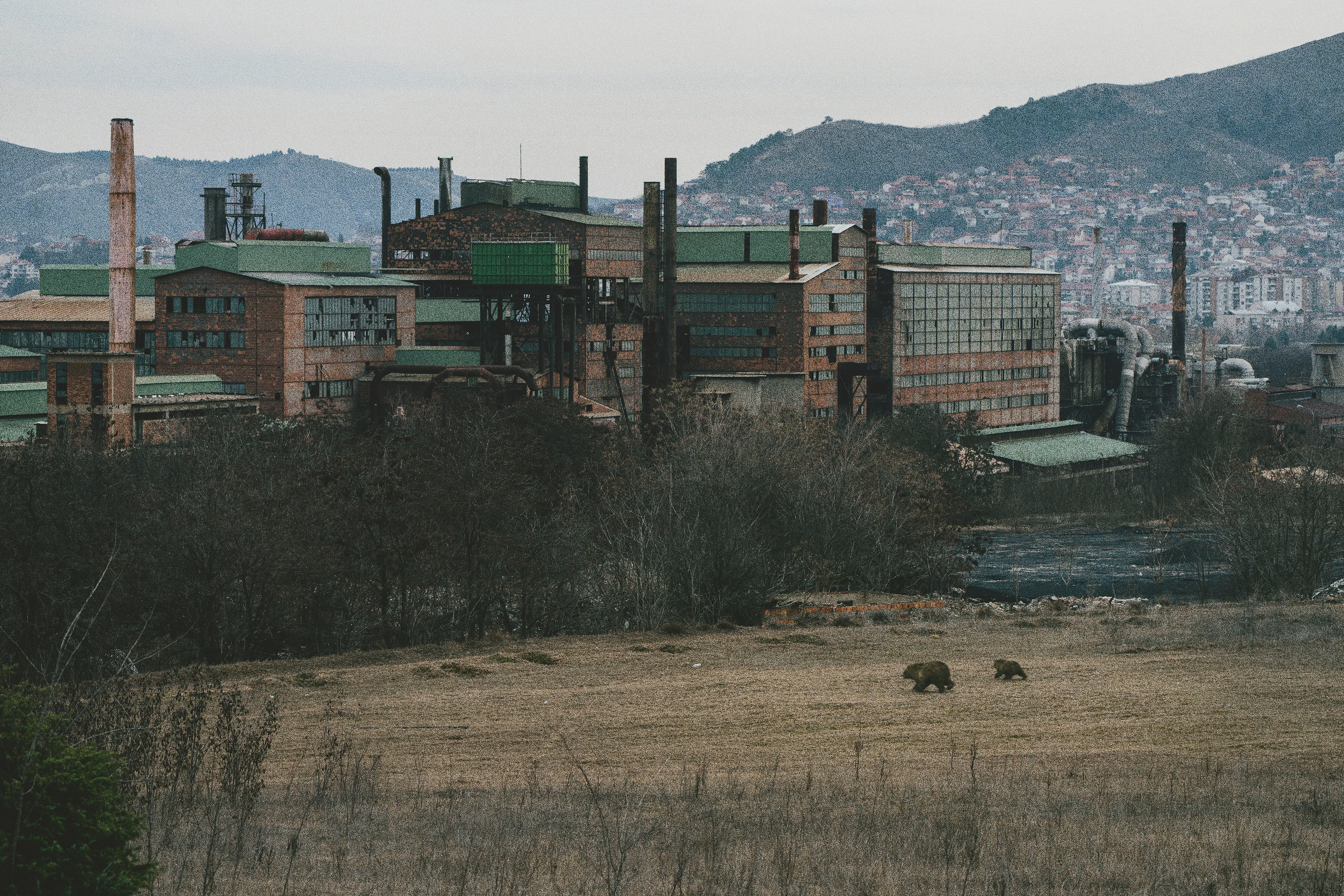 The Book of Veles 017 - Bears by steel smelter by Jonas Bendiksen

The contemporary photo essay from The Book of Veles, telling the story of the fake news industry in Veles, north Macedonia. The town became a global epicenter for fake news production in during the Trump-Hilary election of 2016. After being published as a successful photo book in 2021, a mysterious social media persona named Chloe Miskin revealed that the entire project was a forgery: all the people and subjects in the book are computer-generated 3D models which Bendiksen had posed and inserted into empty backgrounds.

Edition: 1 of 1

Fellowship Studio