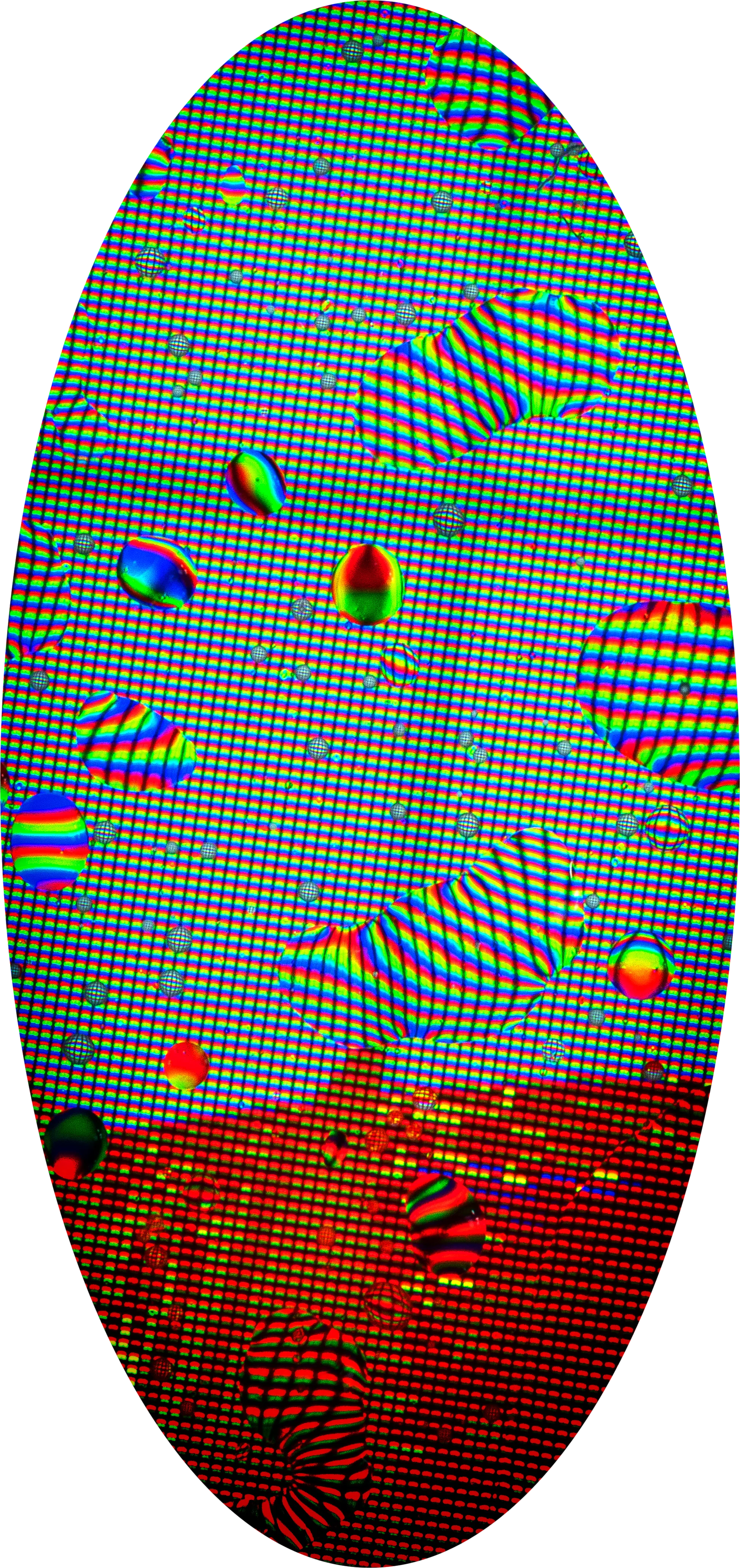 Liquid crystal egg holding wealth of the future. 1944x4121px Unlockable IFPS Pinata link. giselflorez.com