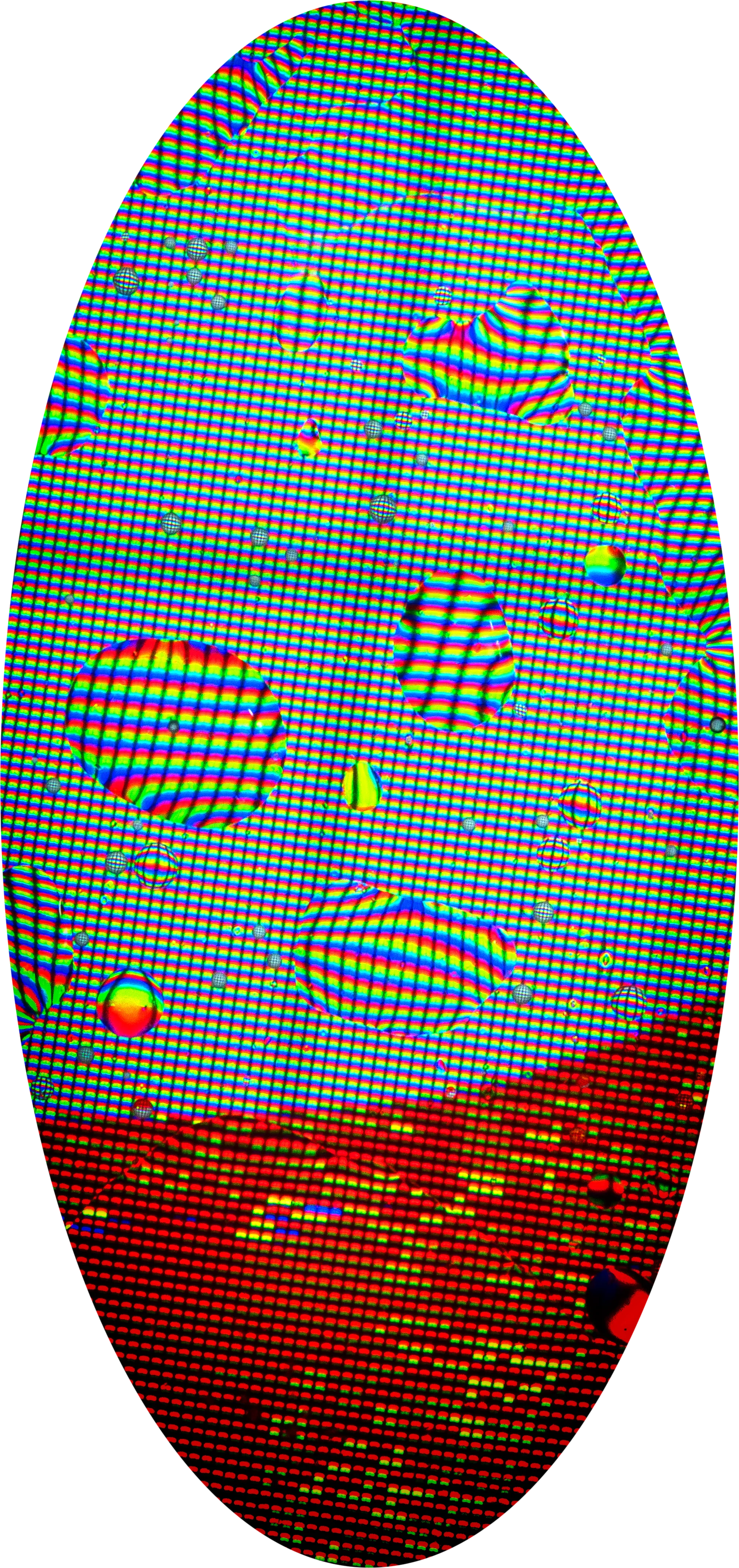 Liquid crystal egg holding wealth of the future. 1944x4121px Unlockable IFPS Pinata link.  giselflorez.com