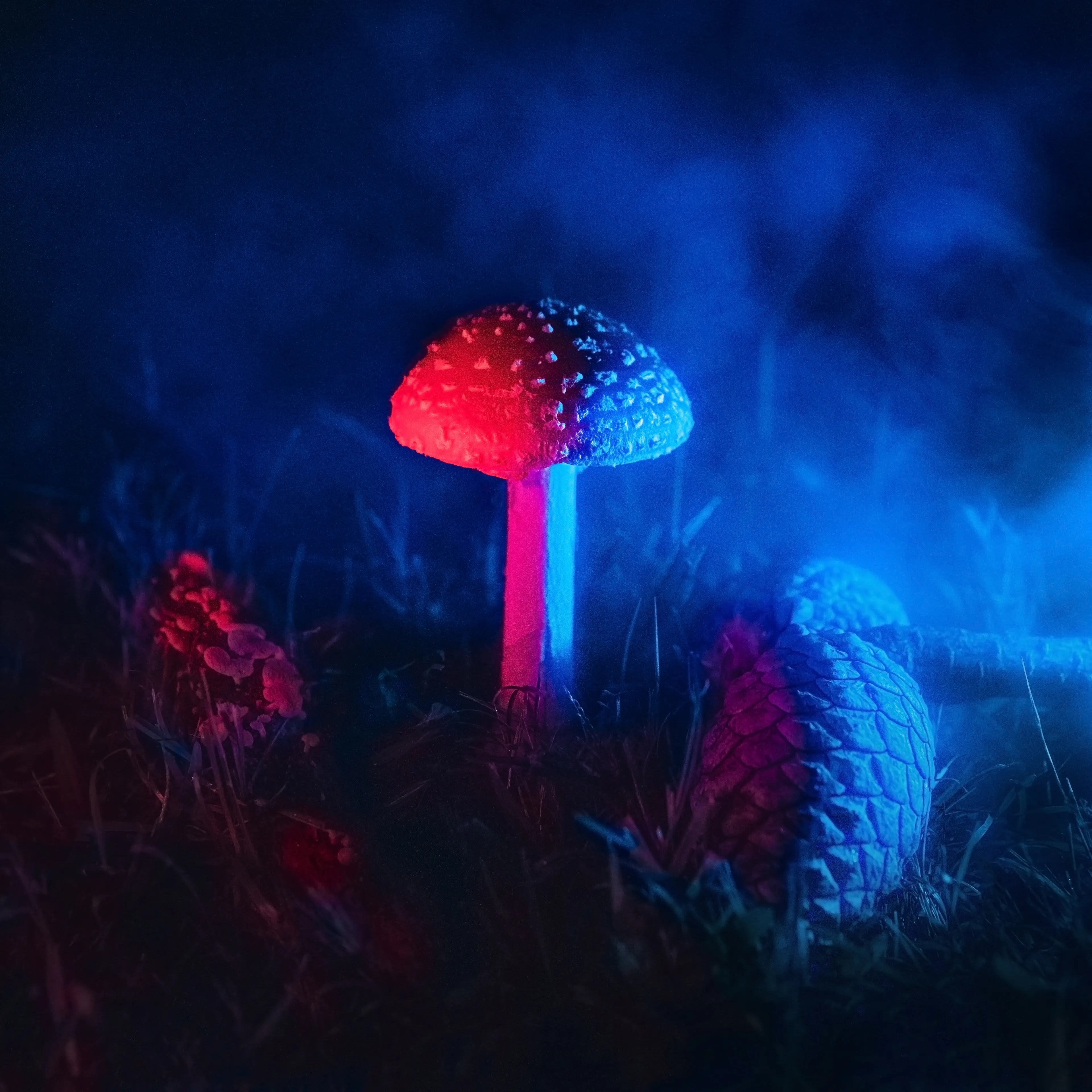 'PHANTASIA' was born through a therapeutic release to represent being resourceful when feeling stagnant. The subject and environment remain symbolically consistent yet the atmosphere varies. A study of light and texture that transforms a single composition to evoke an abundance of emotion.

// by Gabriella Morton 2022