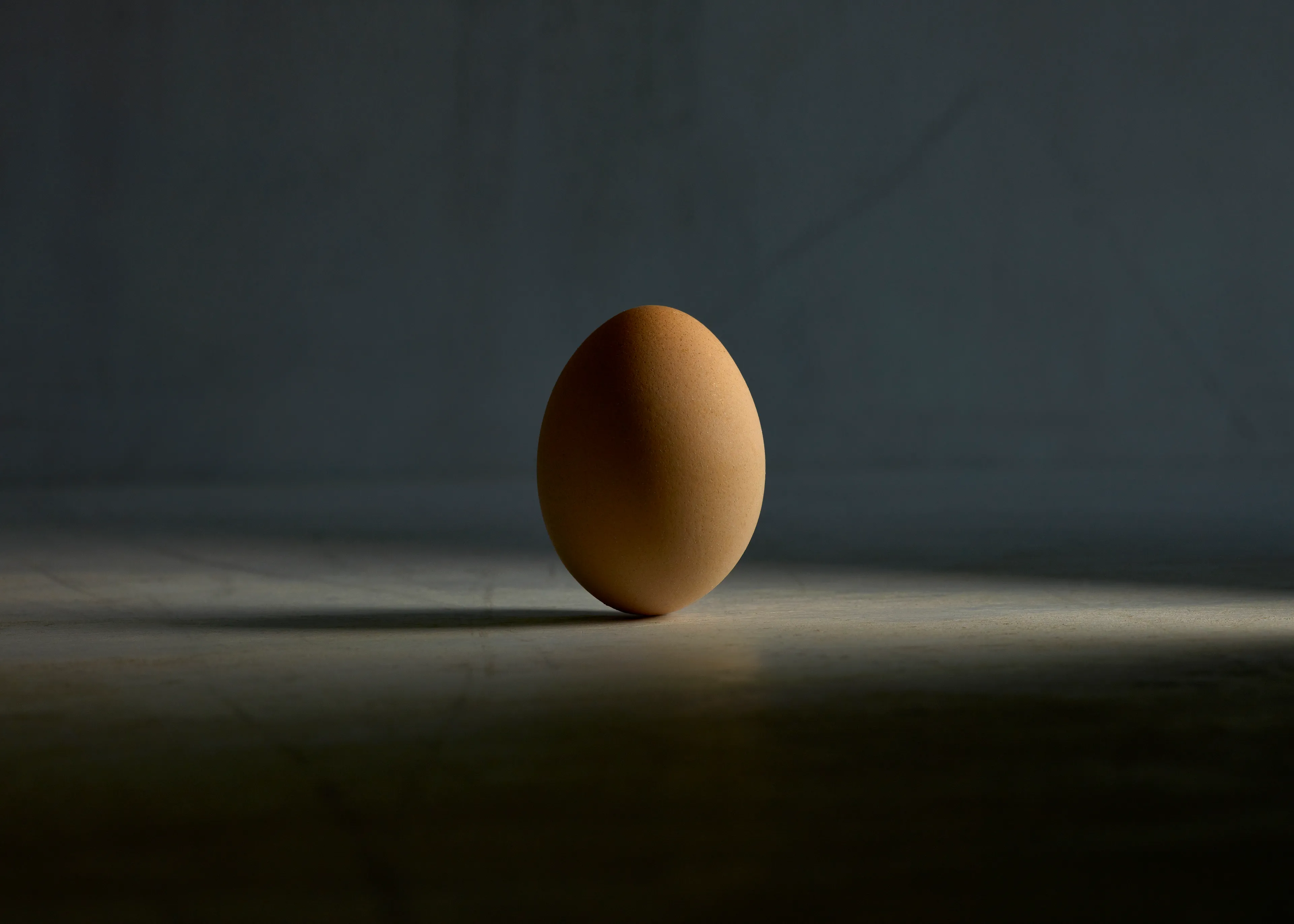 It all starts with an egg.

Part of the chicken.photos series.
