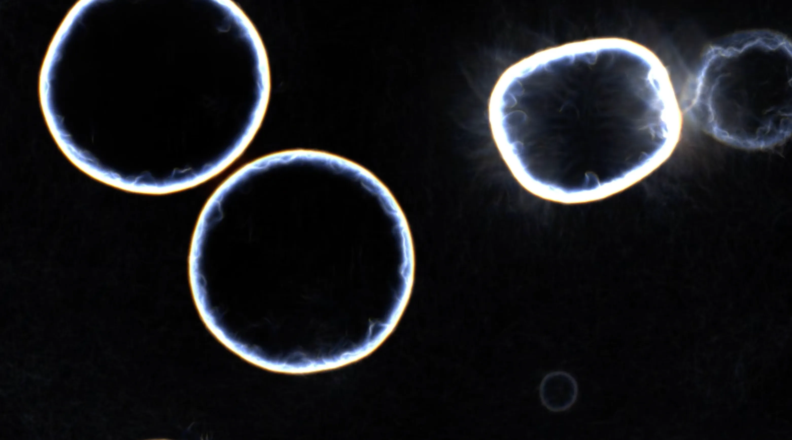 Agoria & Lescure introducing Atelier Σigma

As Above, So Within} is not a state, but a passage. It changes shape, divides, and recomposes, like a thought in motion. Each movement is a thought in the process of being born. 
What you contemplate is an architecture of the living, in metamorphosis. It is a language where code becomes matter, and matter, memory. An algorithm draws networks where order and chaos merge. 
This network belongs neither to the living nor to the digital. It evokes the unicellular intuition. The invisible architecture of galaxies. The projection of a cosmos still unexplored. What you see also sees you. The living flows through you as much as you contemplate it. 
Within this chaos, a murmur of the whole resonates — a grace that traverses us. It calls forth in us primitive intuitions, resonances that precede and surpass us. 
What the code engenders is not a simple figure: it is the trace of invisible structures crossing the cosmos. This unfolding is the sketch of an alternative cosmos. 
Each form is a hypothesis of a universe, perhaps already real. 
But what are we truly looking at? A biological model? A cosmic map? Or the mirror of our own inner organization? 

Location: ArtVerse, Paris.
Curated by Grida
SR Curated Releases 
Full HD film on demand (More than 300mo)