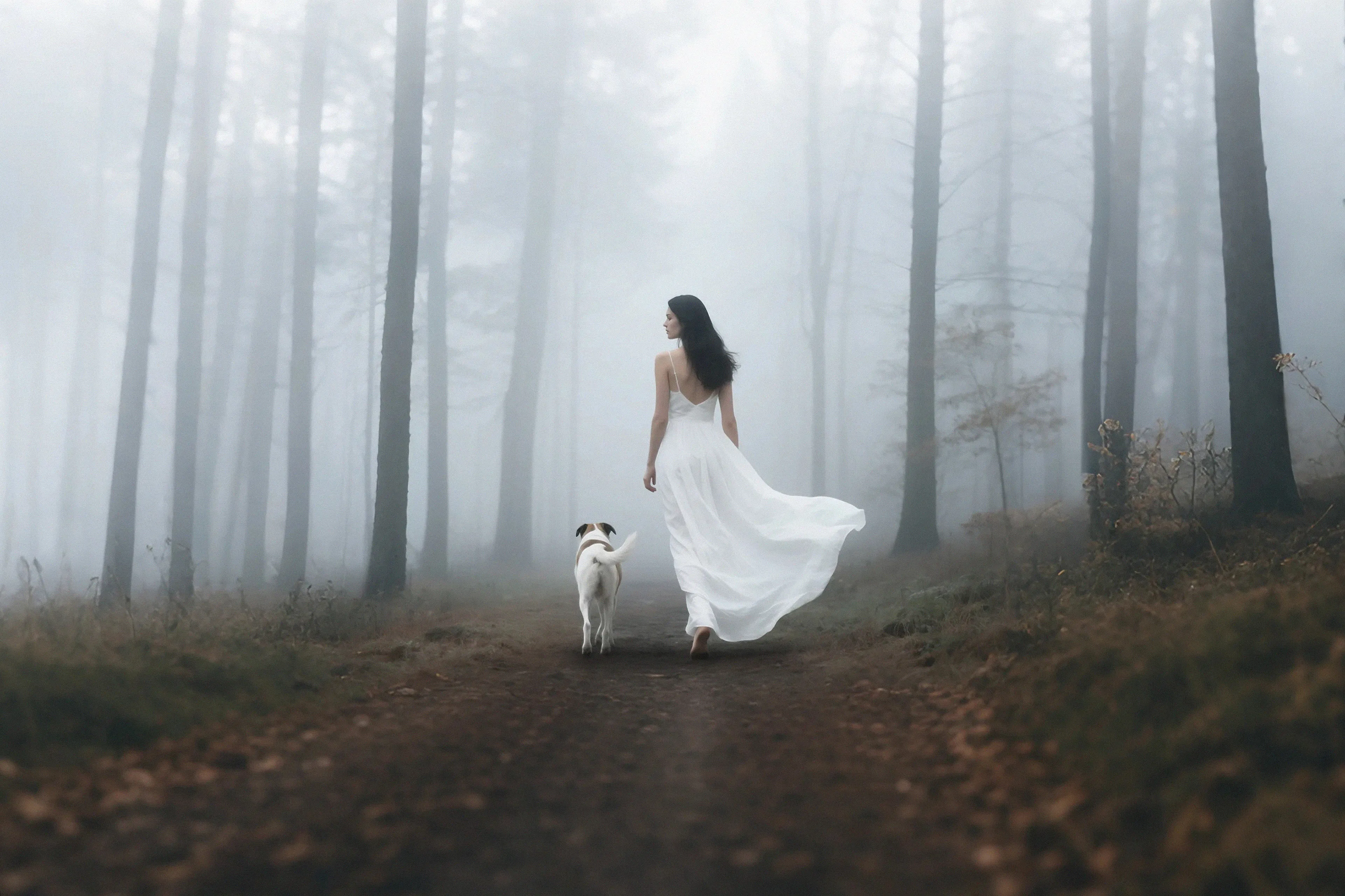 Dogs are our connection to heaven. (Milan Kundera)  
4500 pixel 
